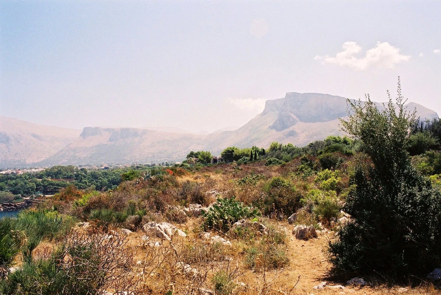 Photo showing: Riserva naturale Capo Rama

La Macchia: typical wild vegetation of Sicily