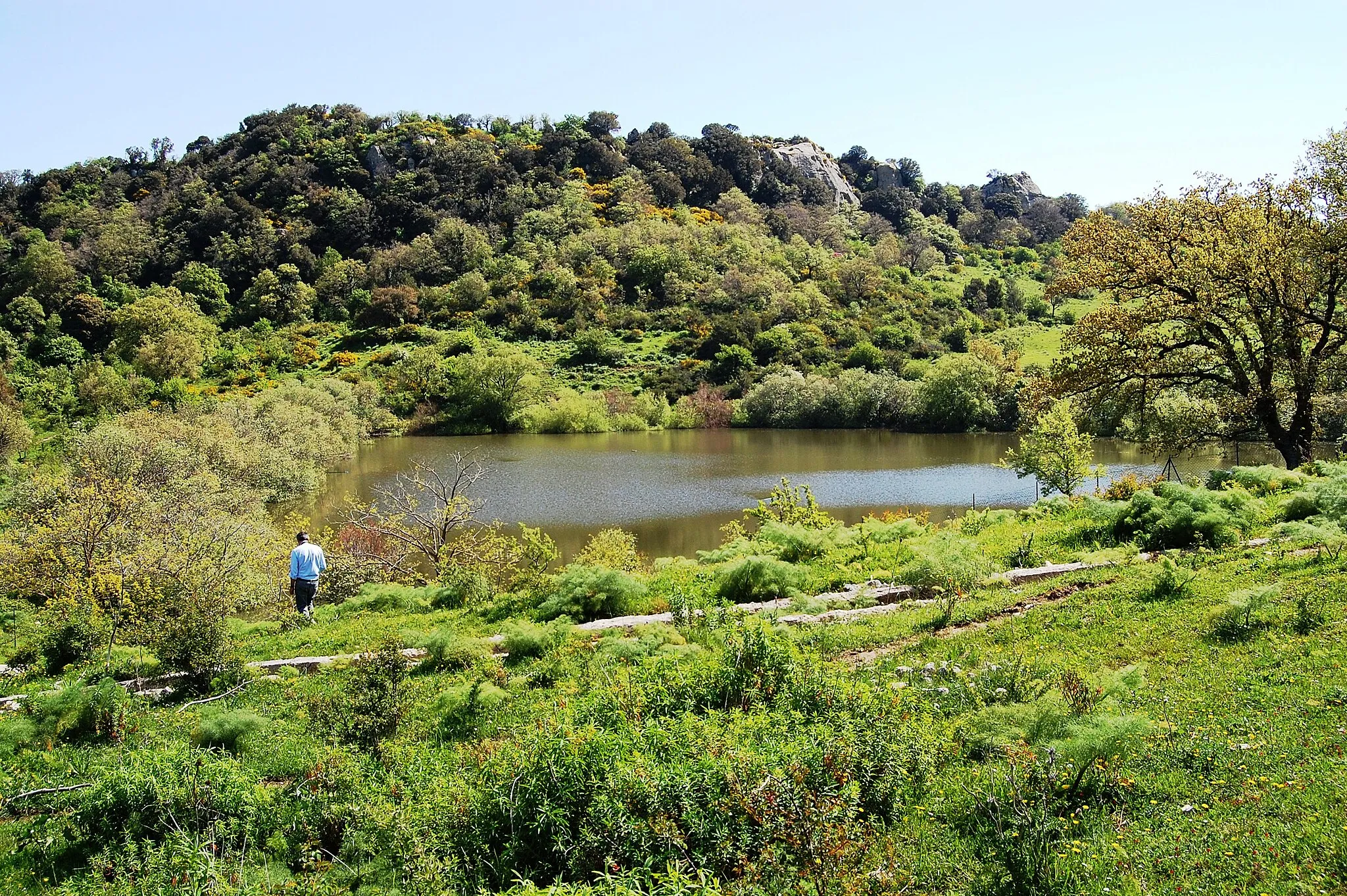 Photo showing: Bosco della Ficuzza, Sicily
Lago Coda di riccio