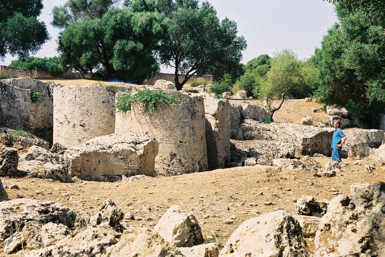 Photo showing: Rocche di Cusa, Campobello di Mazara

Quarry for Selinunte, raw columns for unfinished temple G