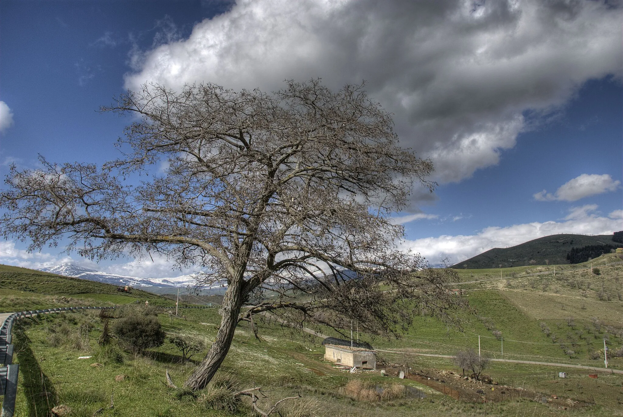 Photo showing: Gagliano - Strada per Troina - C.da Lariazza