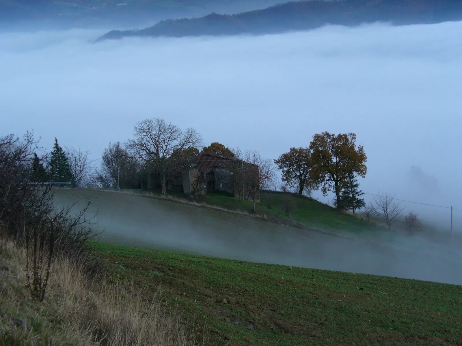 Photo showing: Nebbia a Camposonaldo dal podere Gli Orsetti