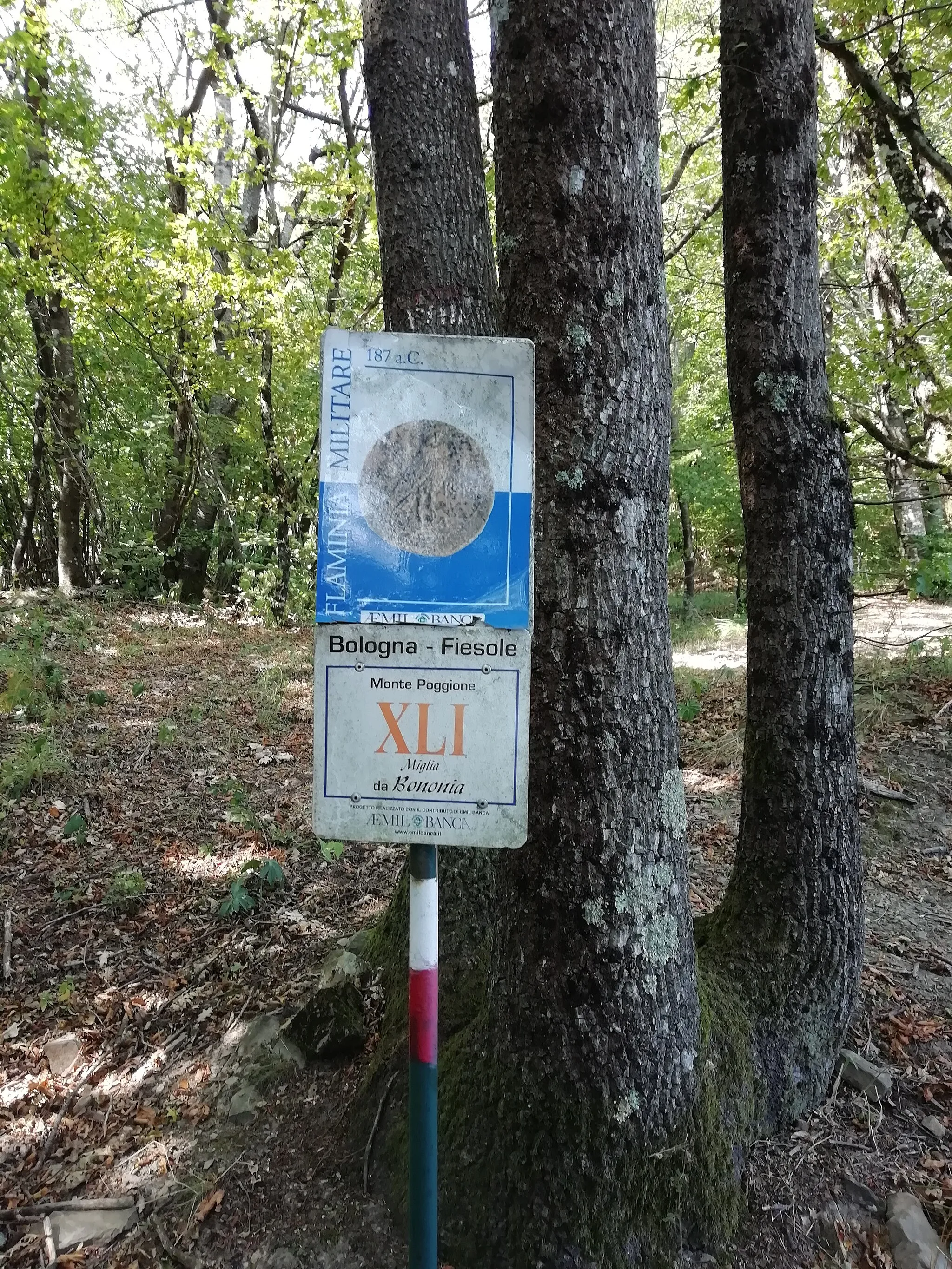 Photo showing: Resti di basolato della via Flaminia Militare, sentiero 52 (variante della Via degli Dei) nell'Appennino tosco-emiliano, tra il Passo della Futa e Santa Lucia (comuni di Firenzuola e Barberino del Mugello).