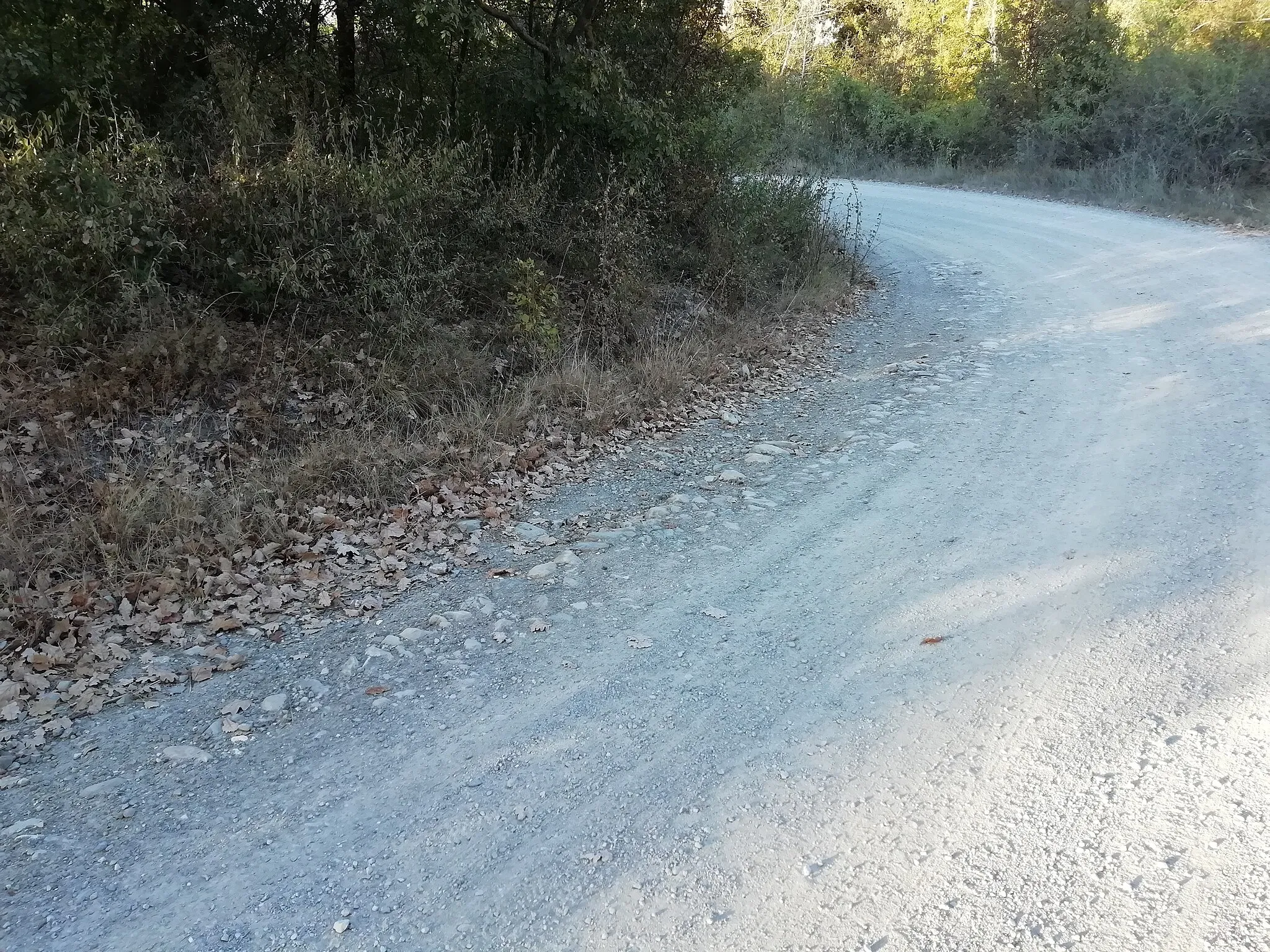 Photo showing: lastricato sul tracciato della Via Flaminia Minor individuato da Antonio Gottarelli - in via Val Quaderna, a Castel San Pietro Terme (BO).