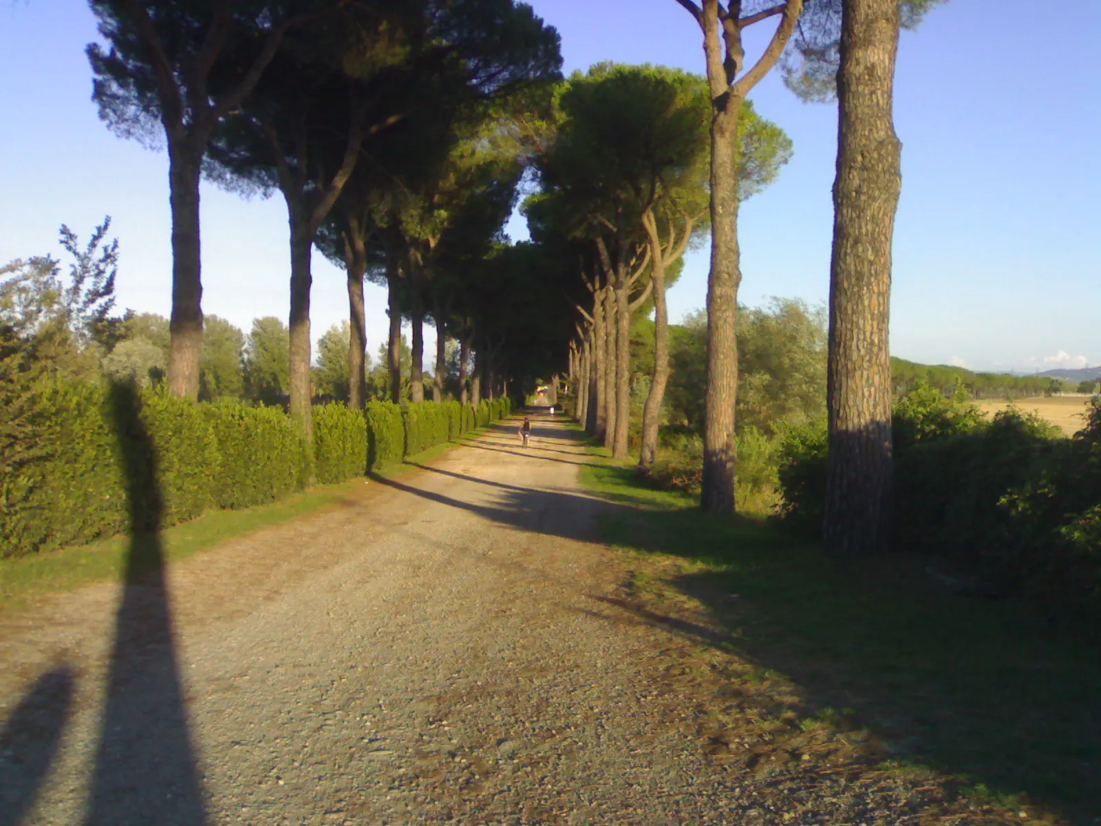 Photo showing: Entrata della cascine di Tavola