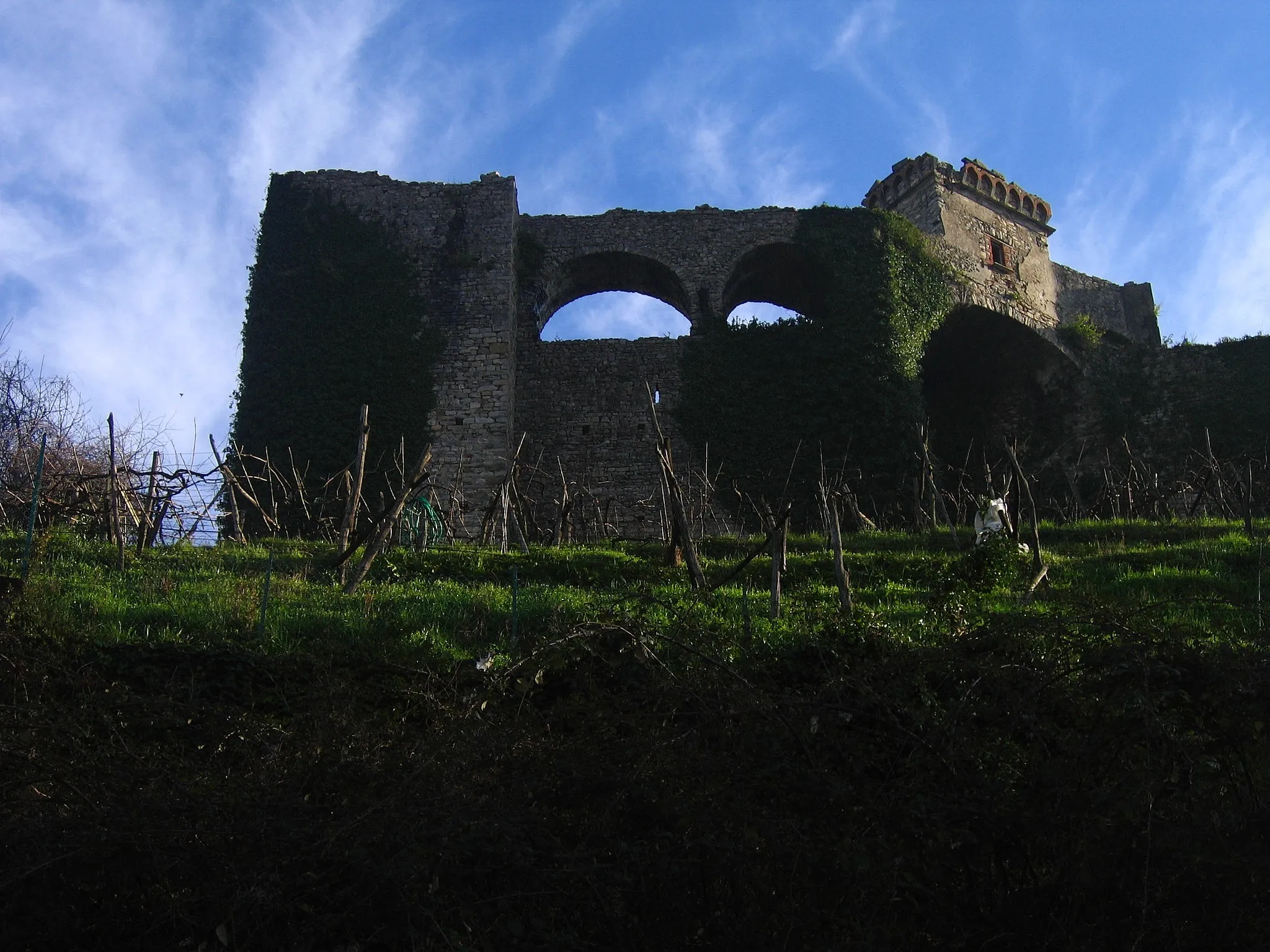 Photo showing: Castello di Trebiano