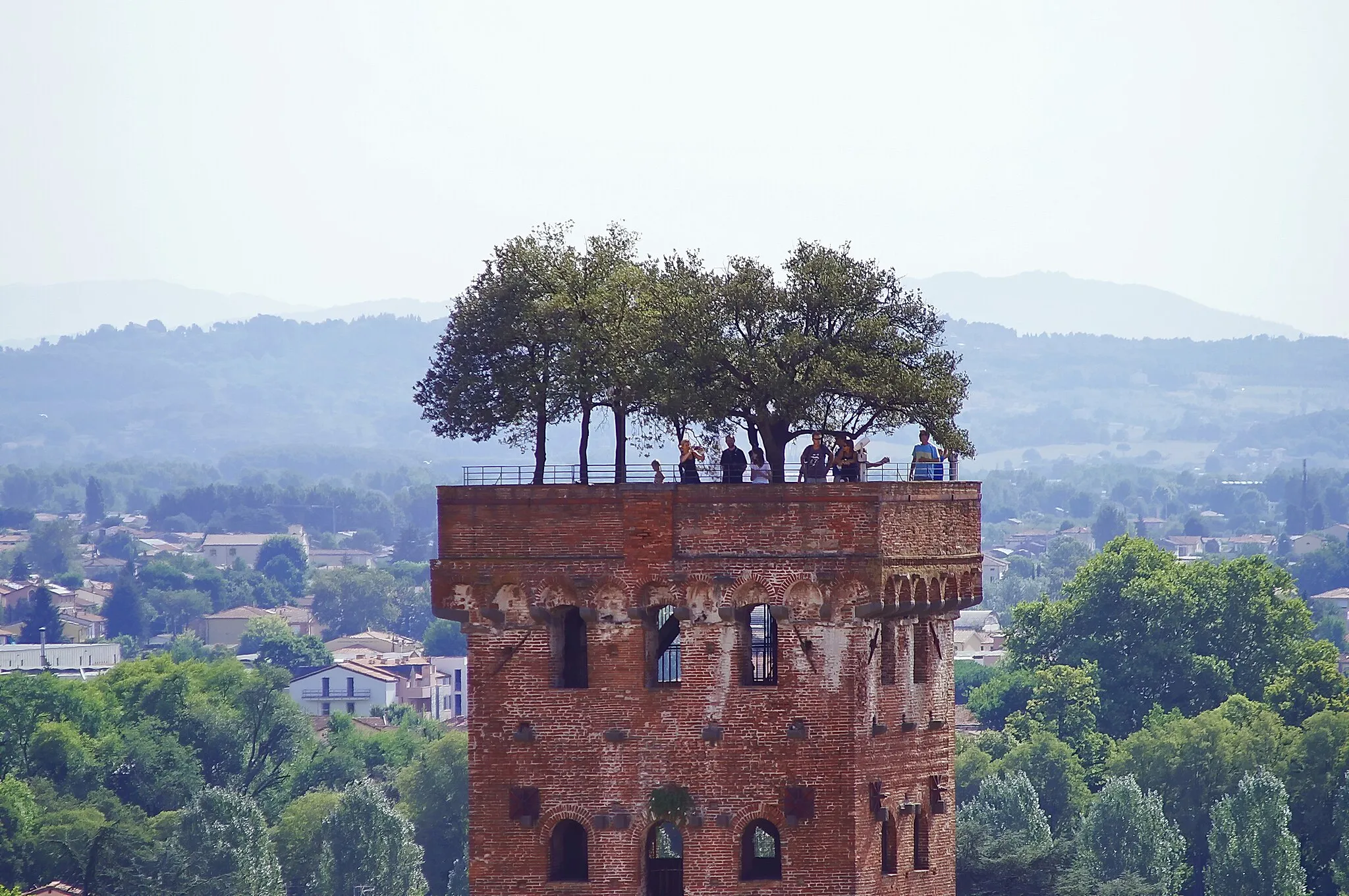 Photo showing: Torre Guinigi, Guinigi Tower, Via Sant'Andrea, Lucca