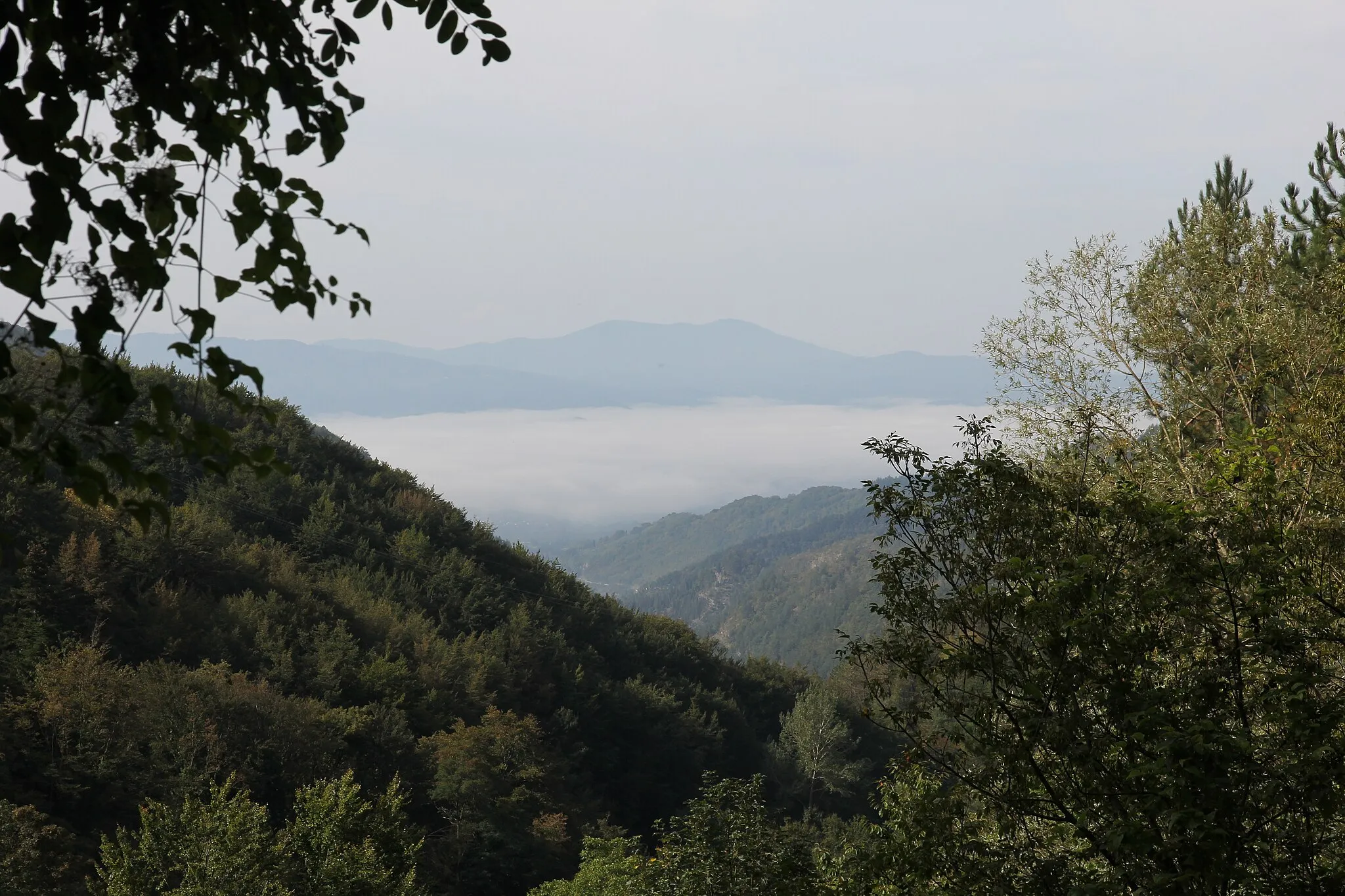 Photo showing: Borgo San Lorenzo presso Razzuolo