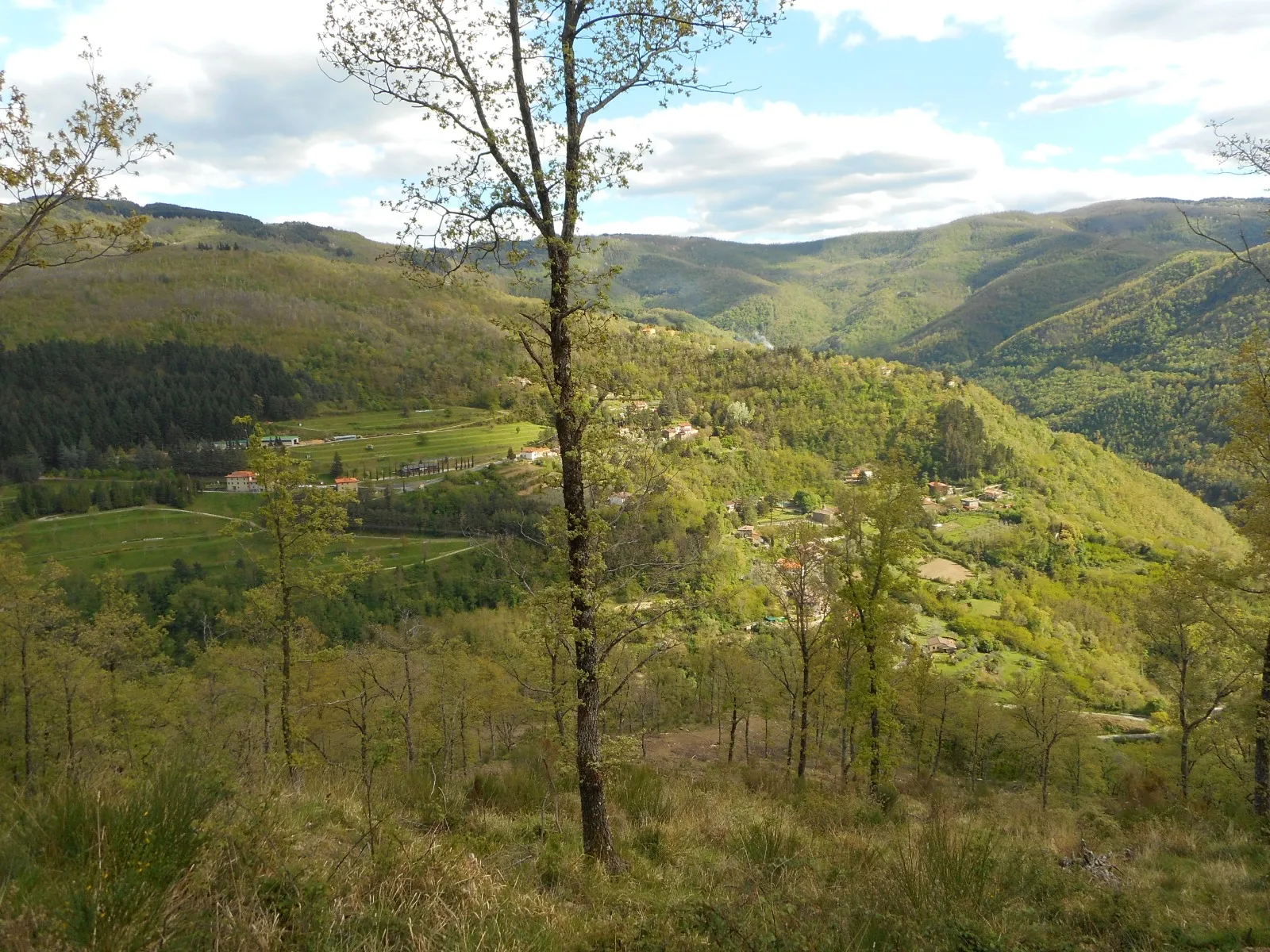 Photo showing: Panorama dei vivai di Rincine