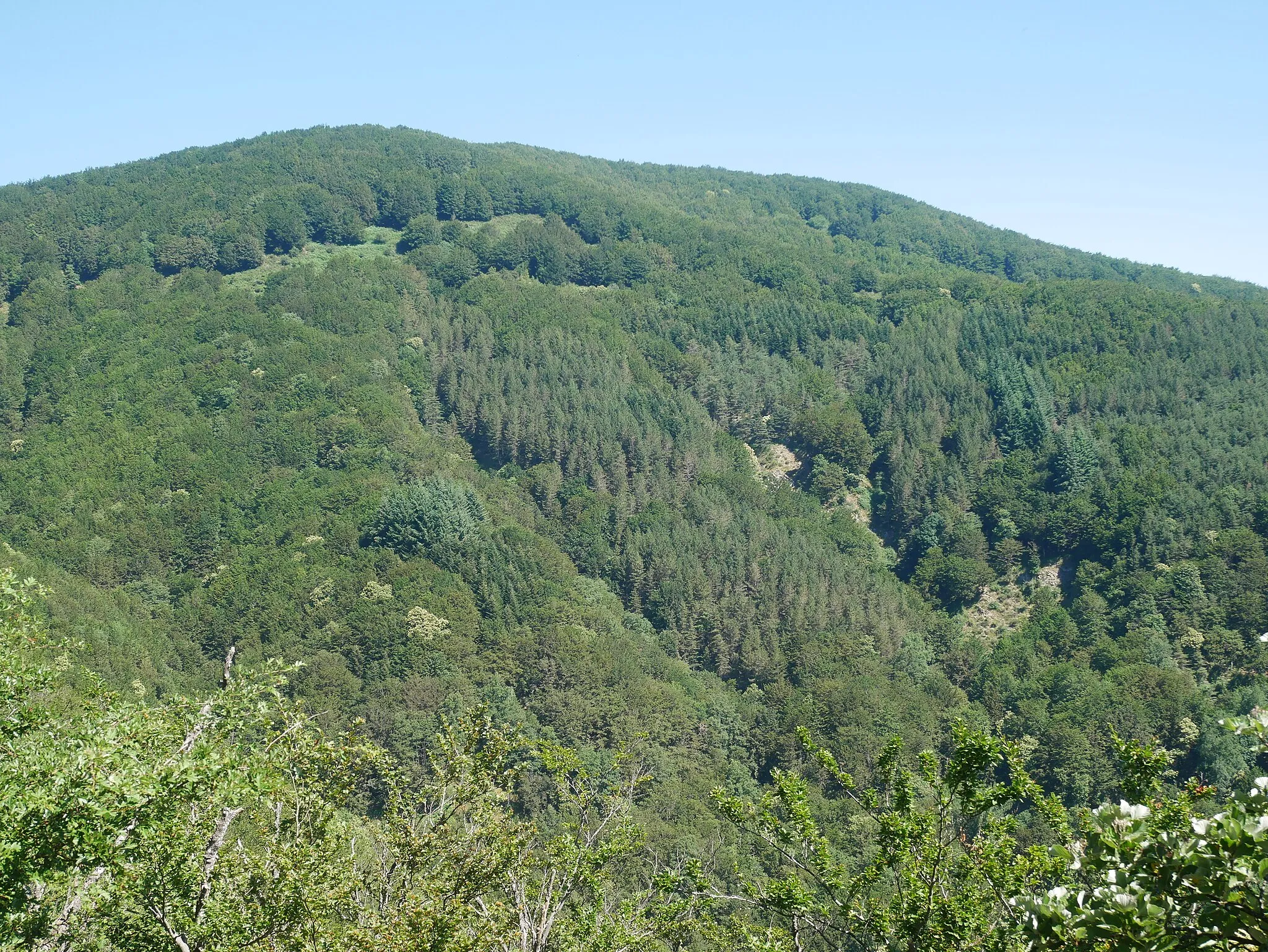 Photo showing: Cantagallo, monte Bucciana, versante sud