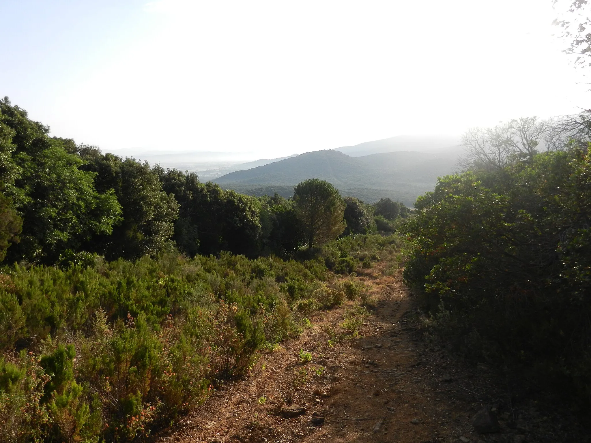 Photo showing: e qui ho spezzato la catena della MTB