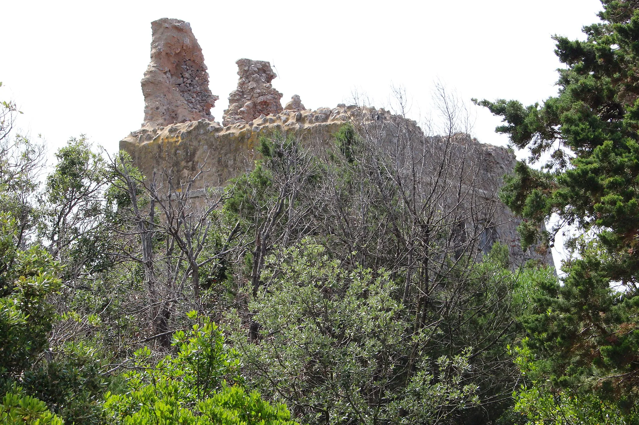 Photo showing: costal tower Torre di San Biagio, Ansedonia, hamlet of Orbetello, Province of Grosseto, Italy