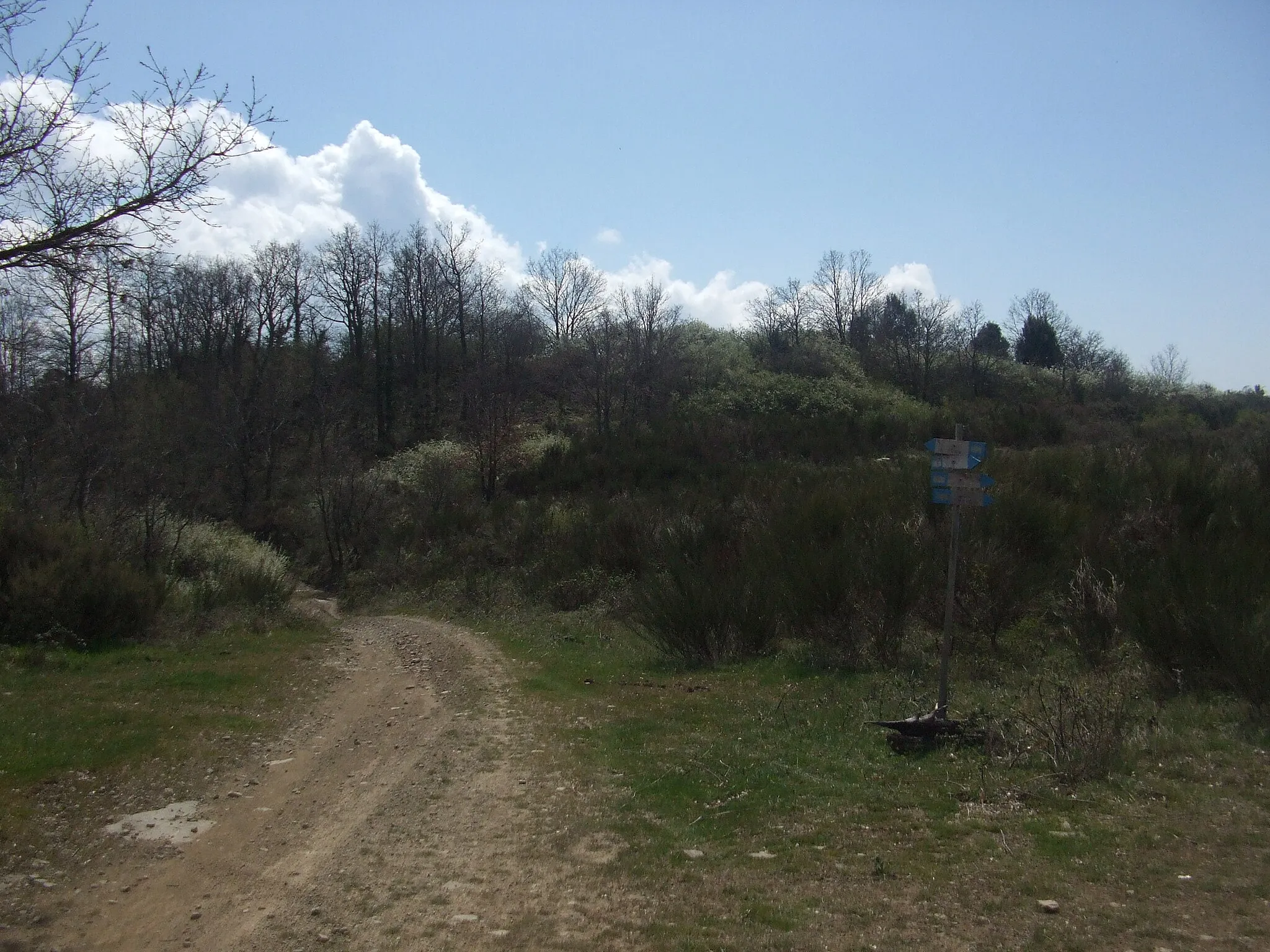 Photo showing: Cima Castiglion Maggio