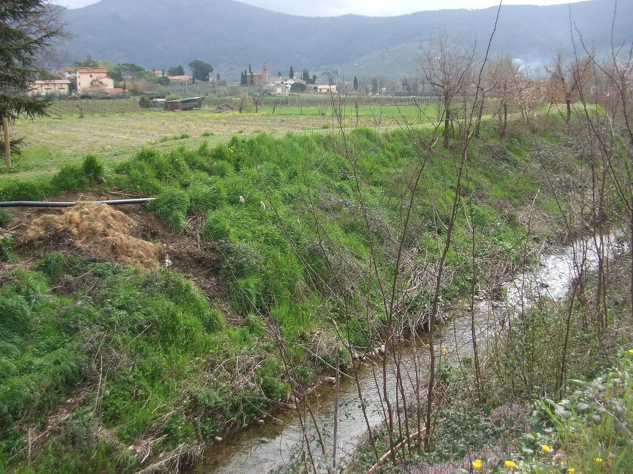 Photo showing: Torrente Bigurro e Pievuccia