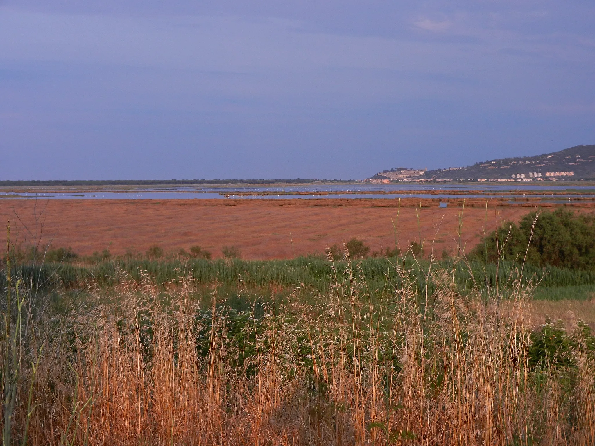 Photo showing: Il Padule dall'Isola Clodia