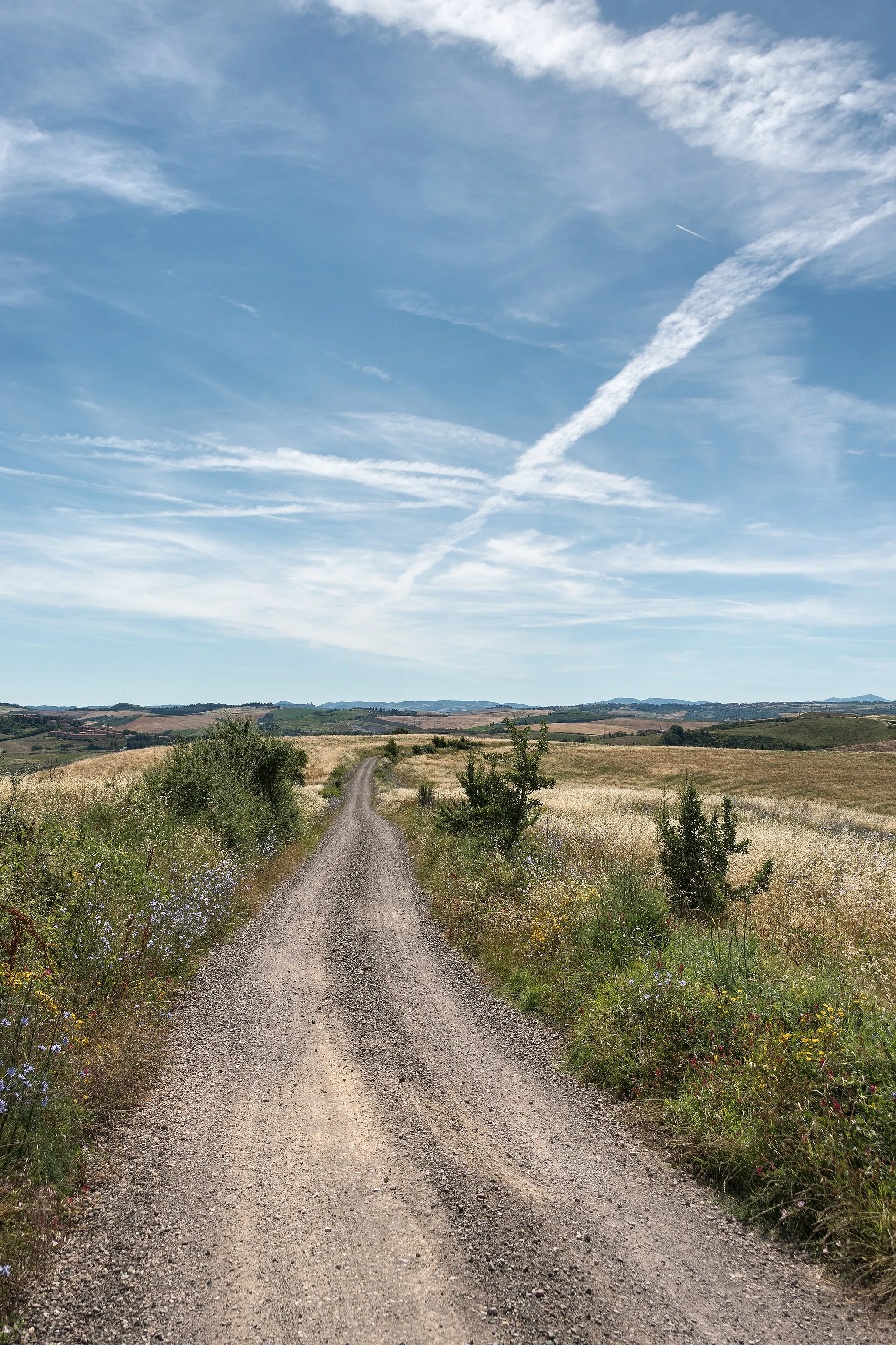 Photo showing: Via Francigena Toscana (Eroica) - Montalcino, Siena, Italia