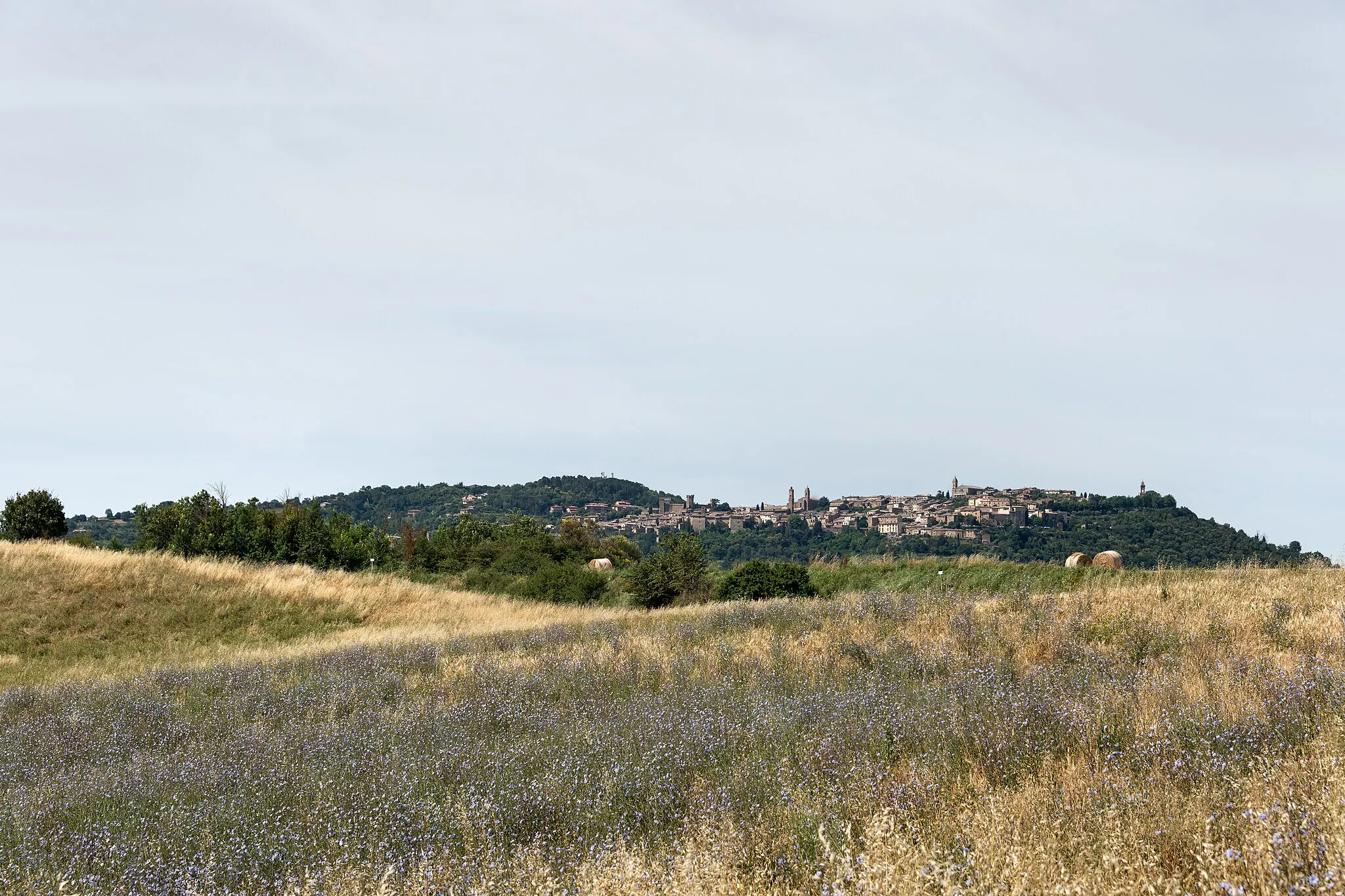 Photo showing: Montalcino - Via Francigena Toscana, Montalcino, Siena, Italia