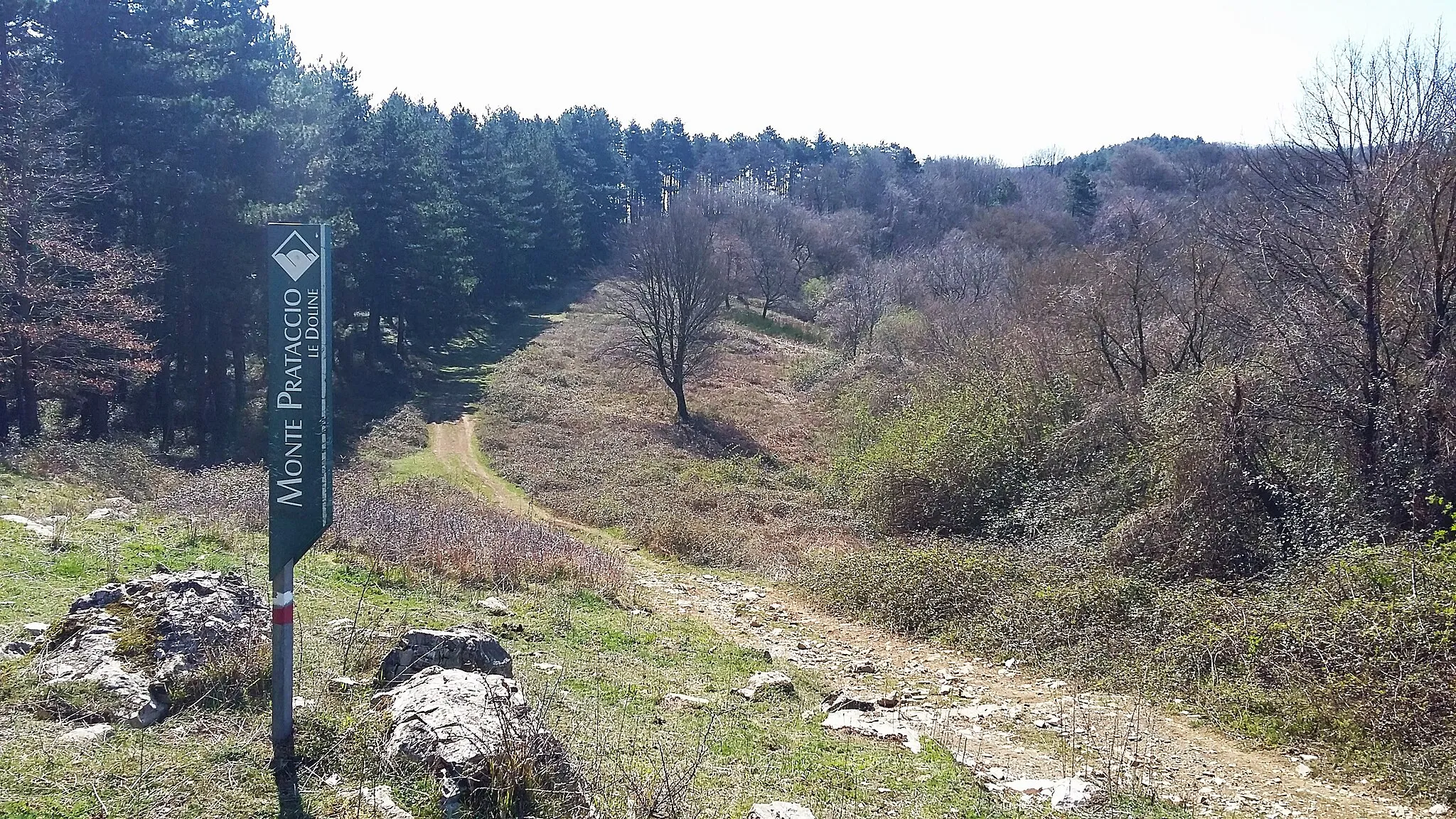 Photo showing: Calvana, cartello Monte Prataccio - Le Doline