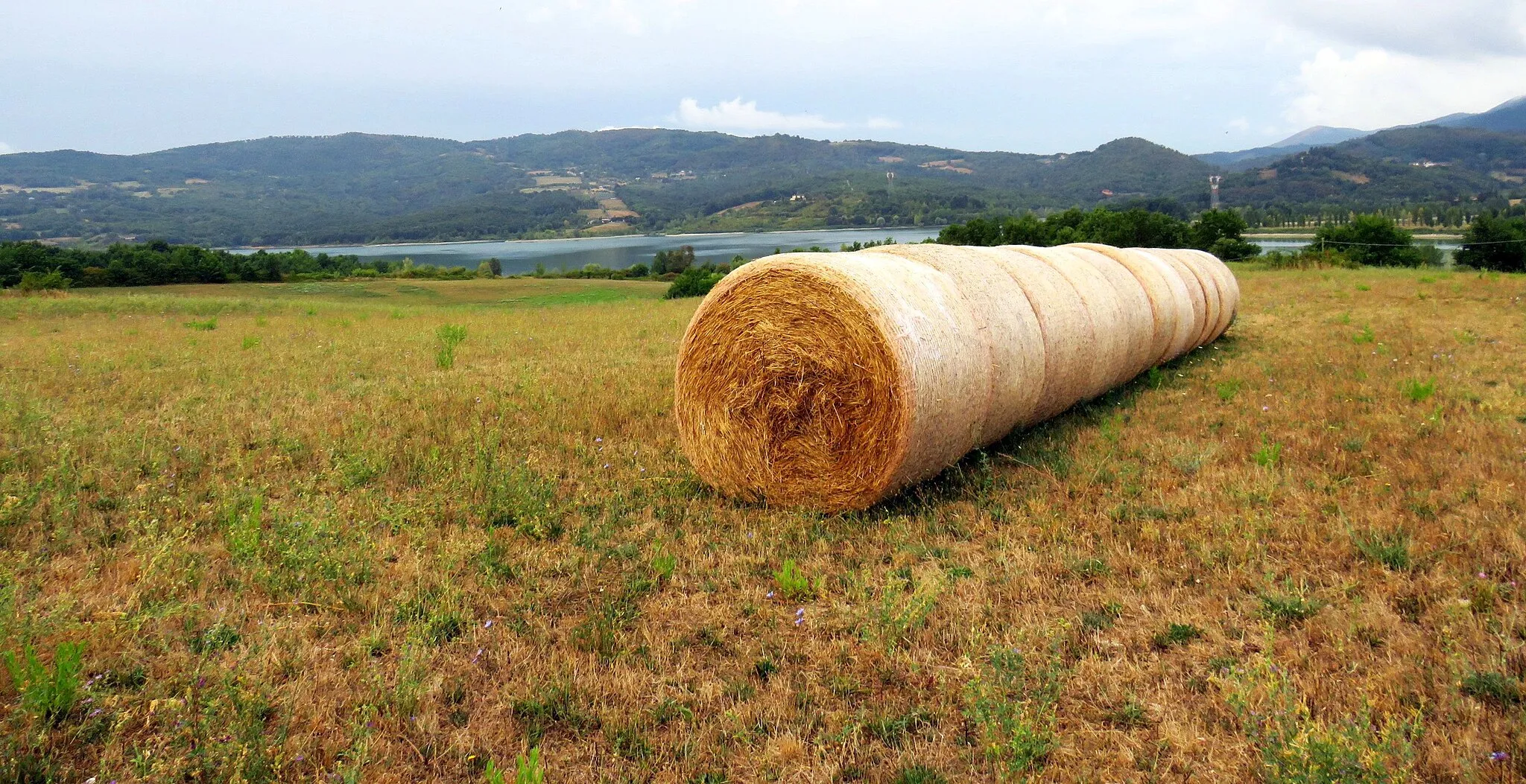 Photo showing: Straw balers on Lake Bilancino