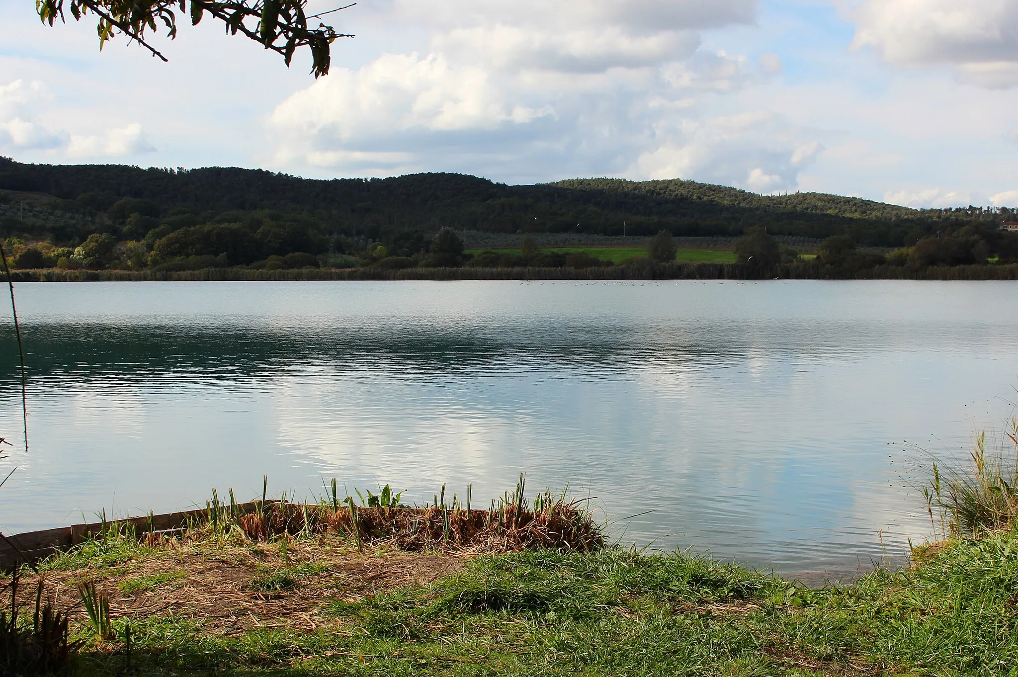 Photo showing: Lake Accesa (Lago dell’Accesa), lake in Massa Marittima, Province of Grosseto, Tuscany, Italy