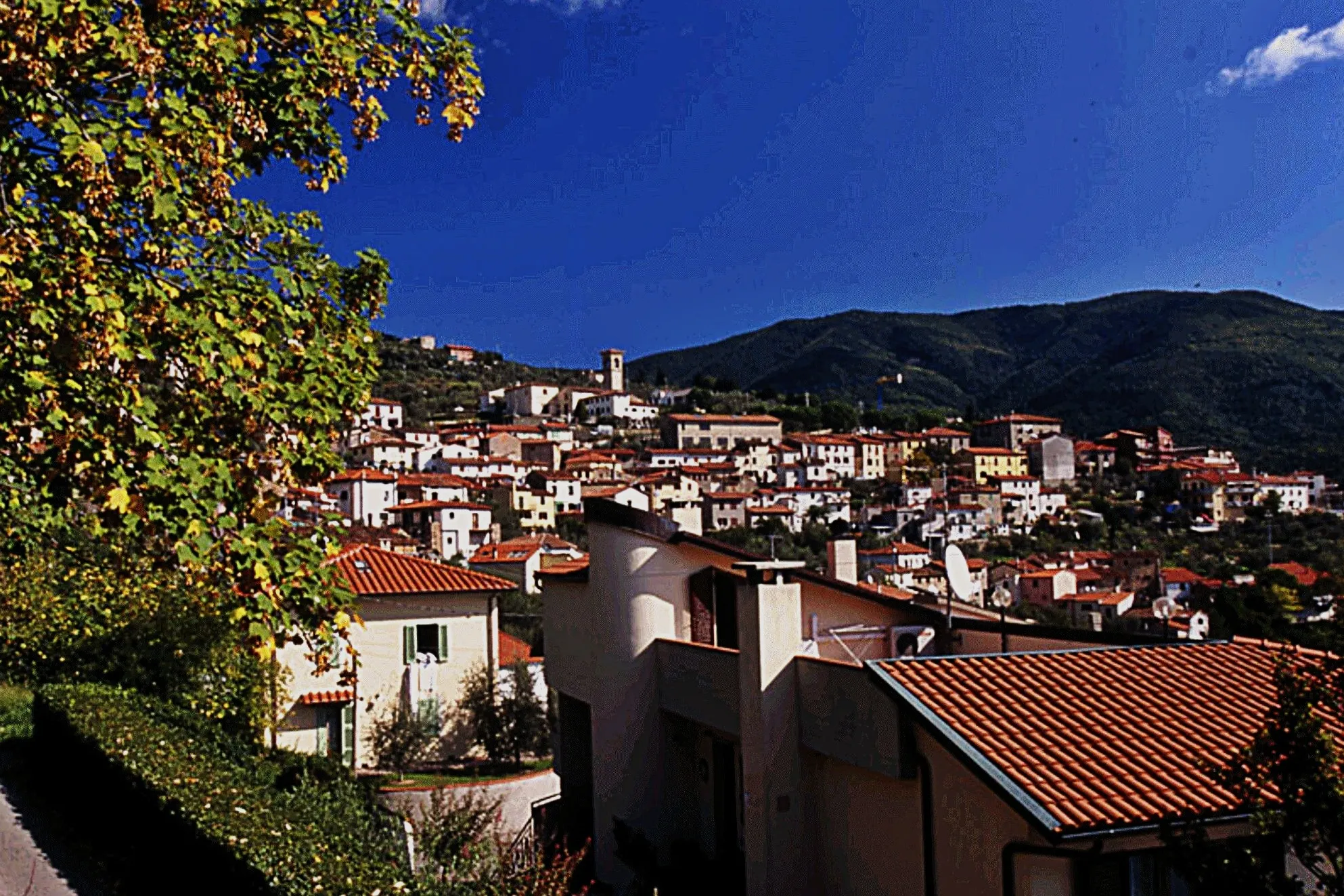 Photo showing: Tobbiana