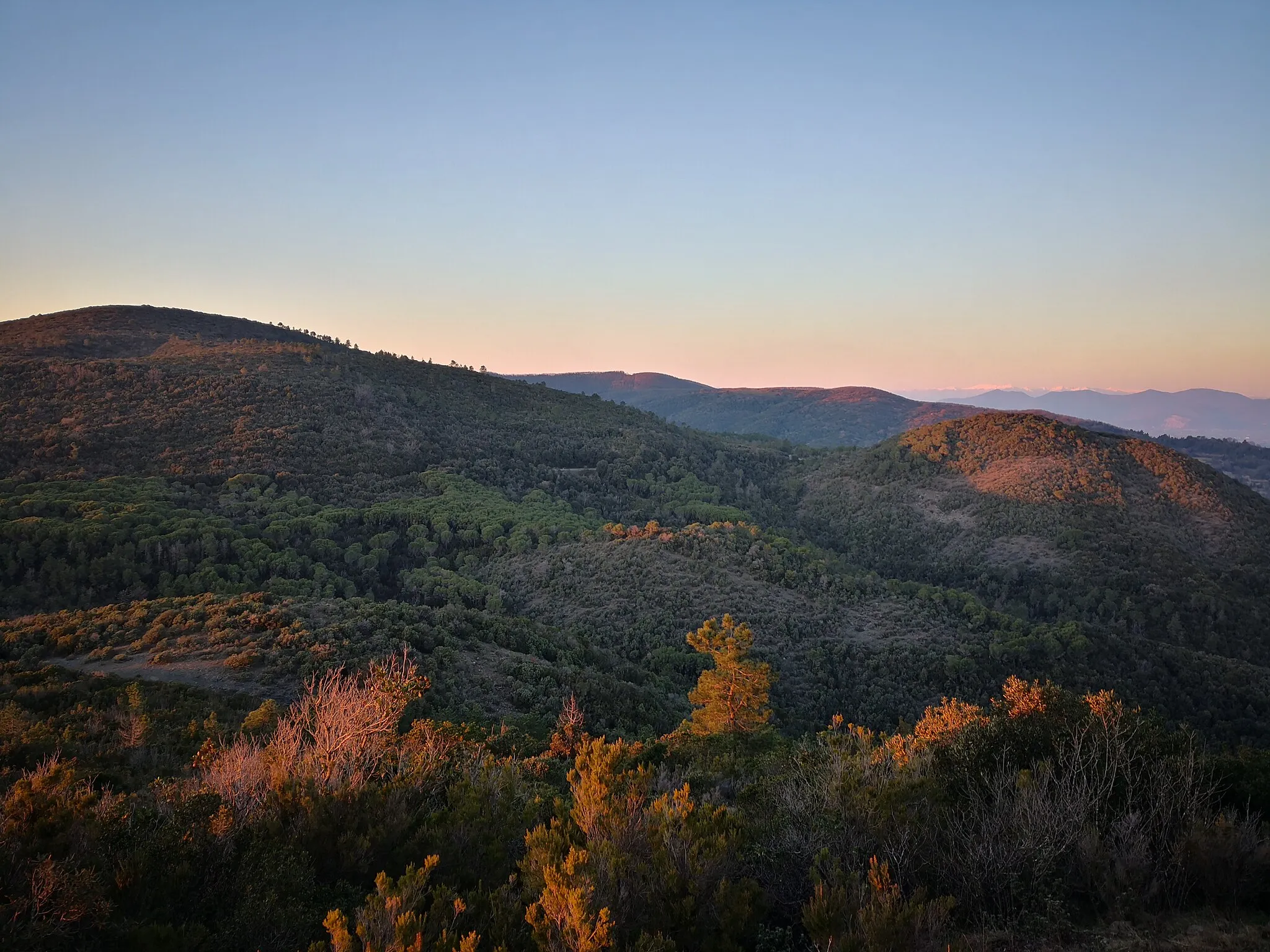 Photo showing: Vista verso nord dal Monte Auto. Si notano in particolare, in primo piano, il Monte Maggiore a sinistra e il Poggio alle Fate a destra. Dietro i monti di Parrana e sullo sfondo il Monte Pisano.