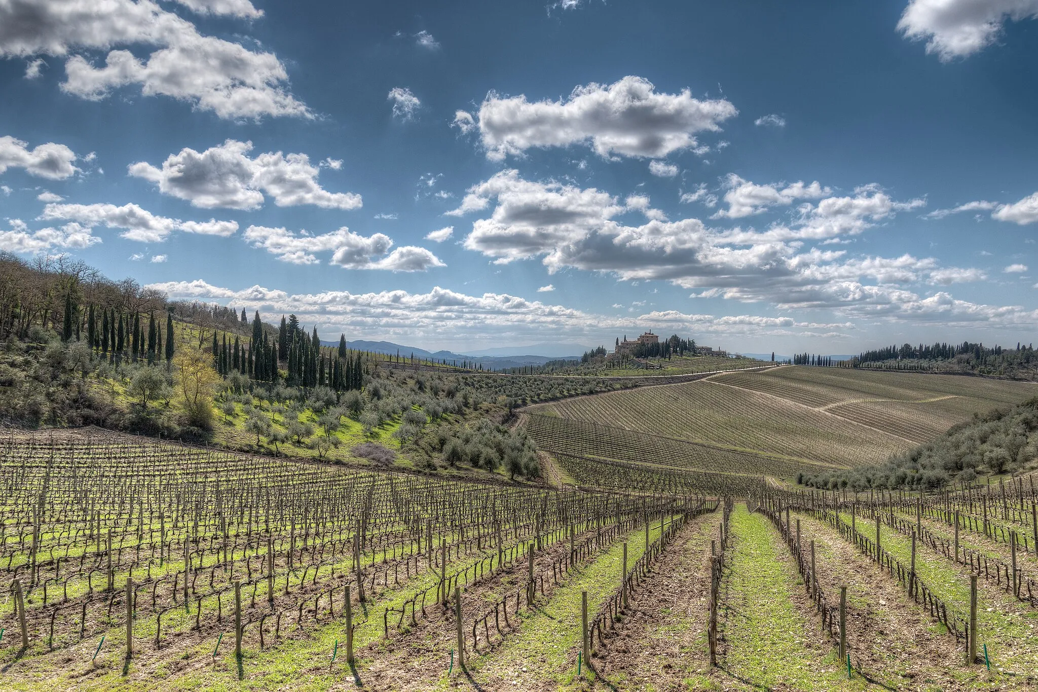 Photo showing: Vineyards - Gaiole in Chianti, Siena, Italy