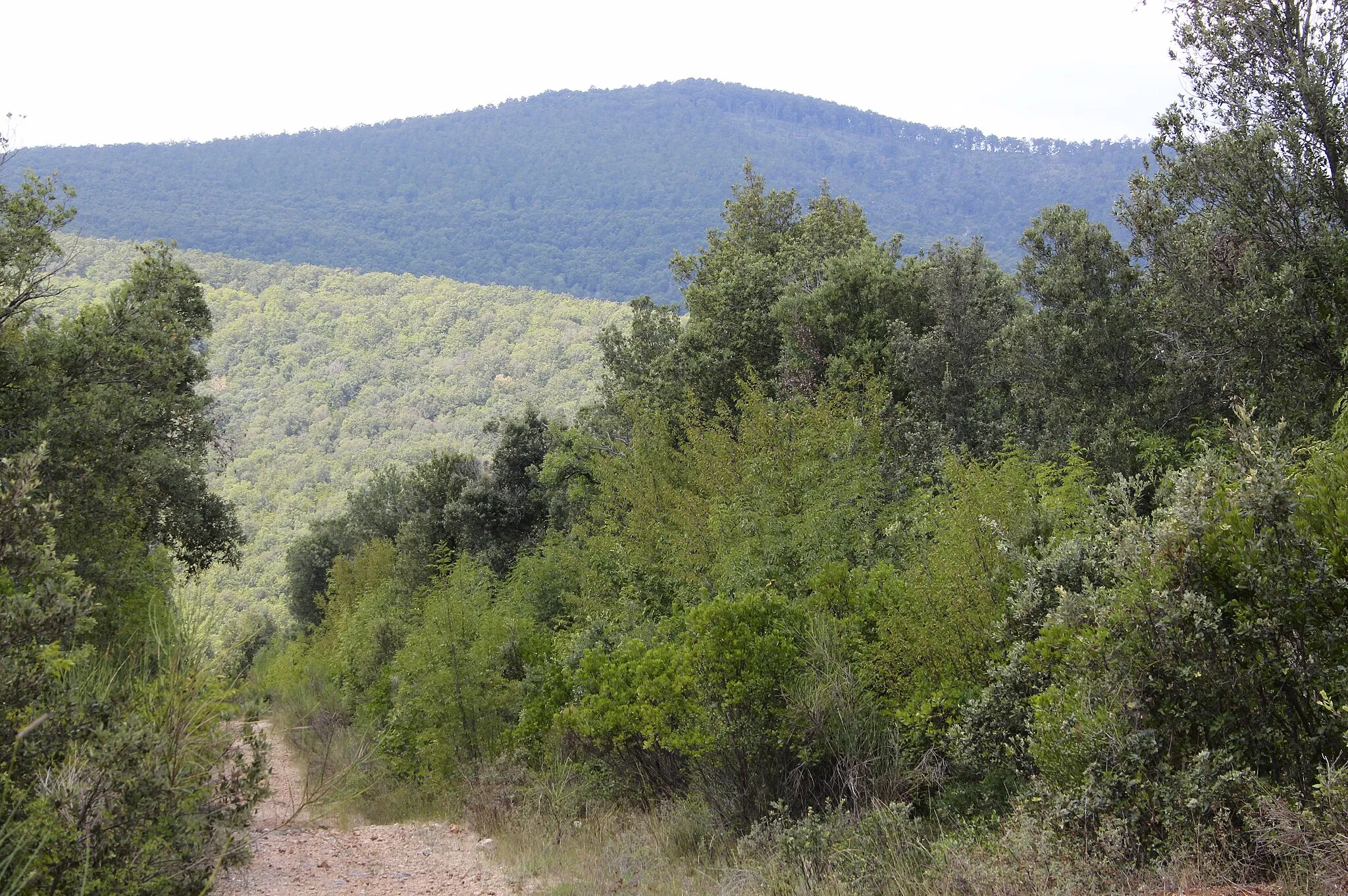 Photo showing: Mountain Monte Leoni (616 m), Montorsaio, Campagnatico, Province of Grosseto, Tuscany, Italy