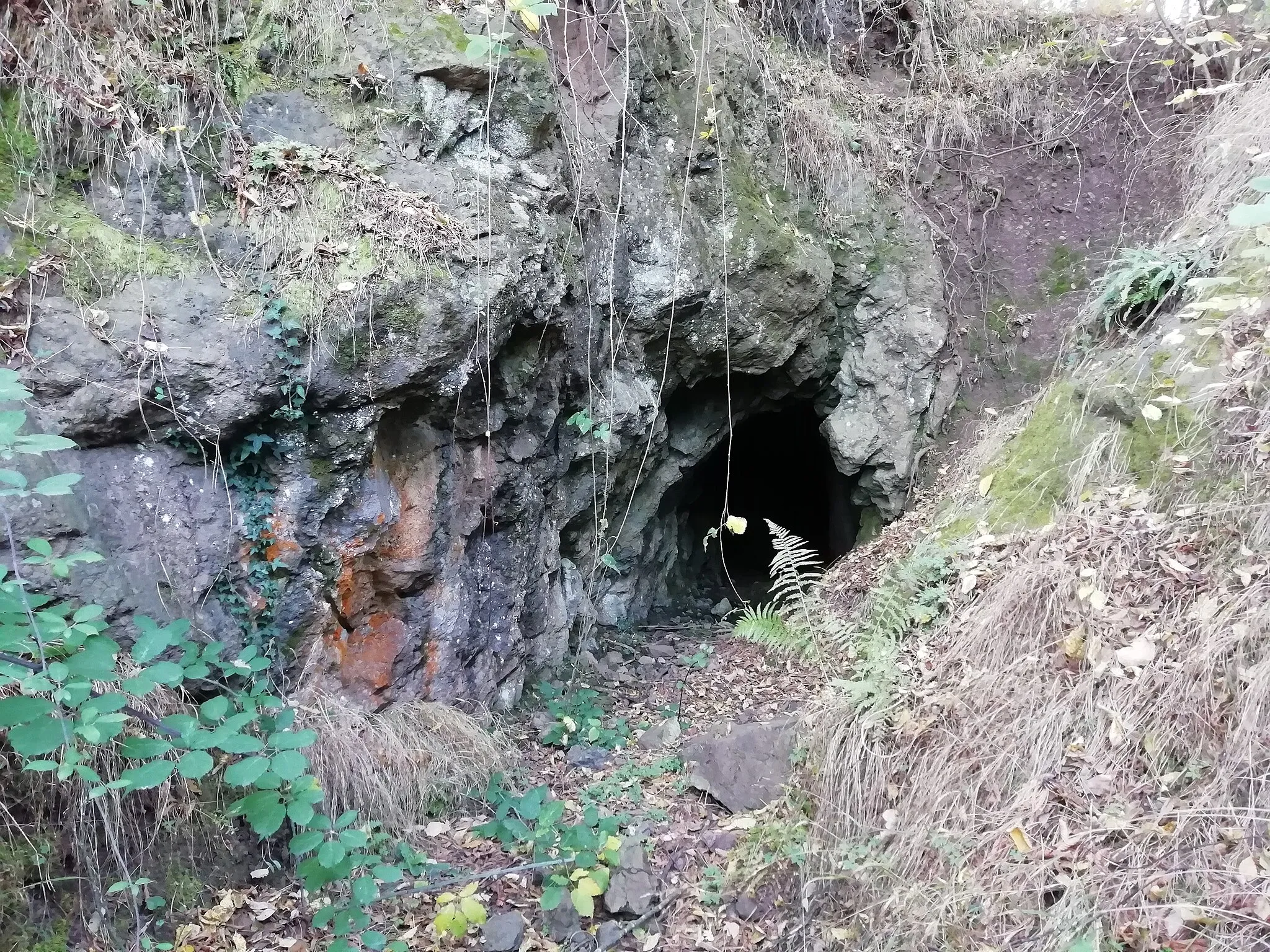 Photo showing: Ex miniera di rame di Monte Gurlano, nel Parco provinciale La Martina e nell'area protetta "La Martina, Monte Gurlano".