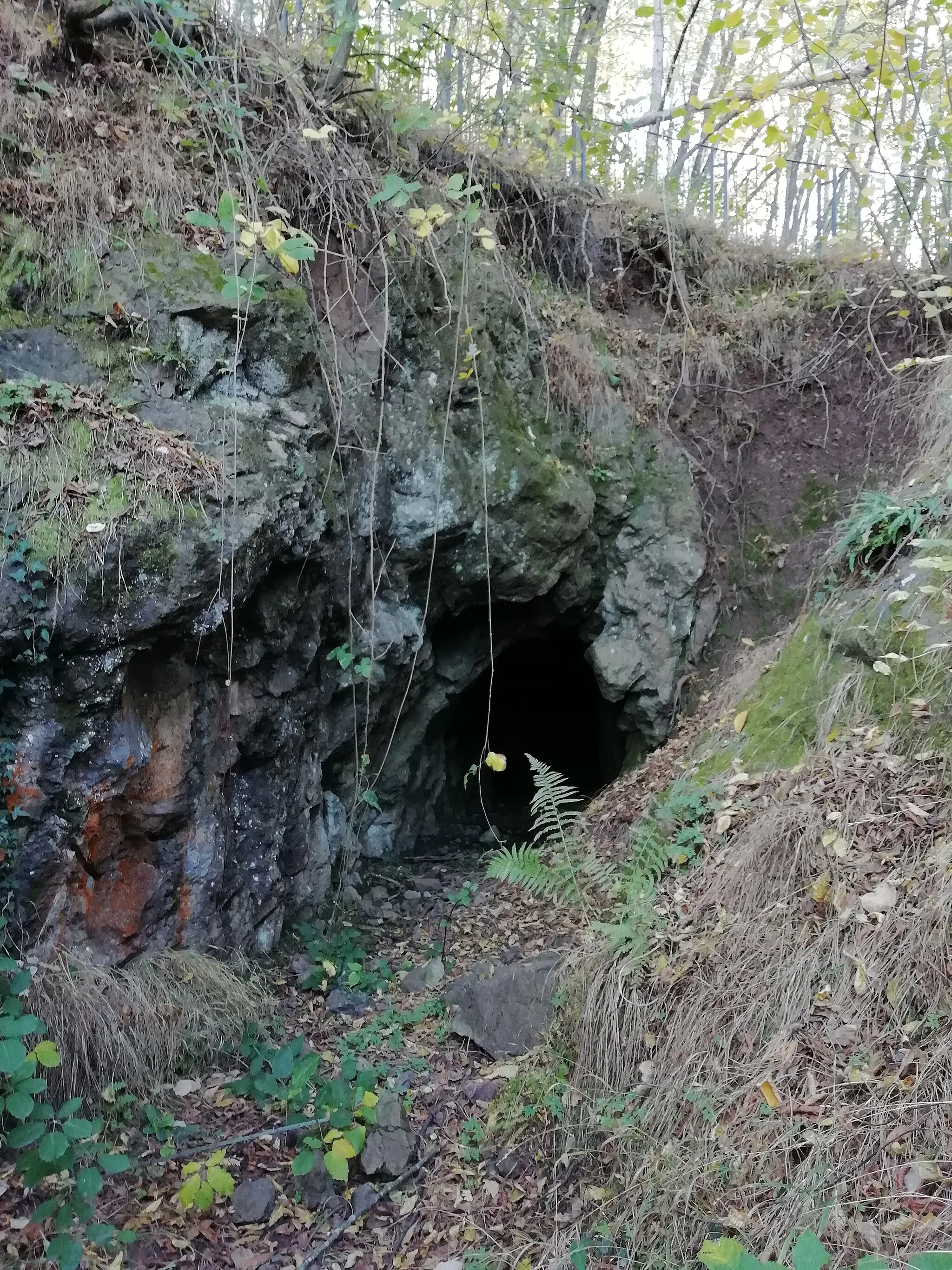 Photo showing: Ex miniera di rame di Monte Gurlano, nel Parco provinciale La Martina e nell'area protetta "La Martina, Monte Gurlano".