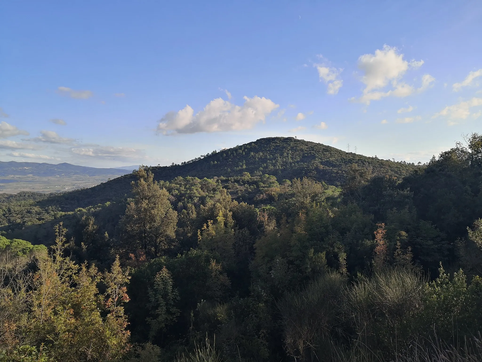 Photo showing: Vista verso sud-est dalla SP5ter Livornese. Si notano: -) sullo sfondo, le Colline Pisane e, ancora dietro, la parte settentrionale delle Colline Metallifere; -) in primo piano, il Monte Auto.