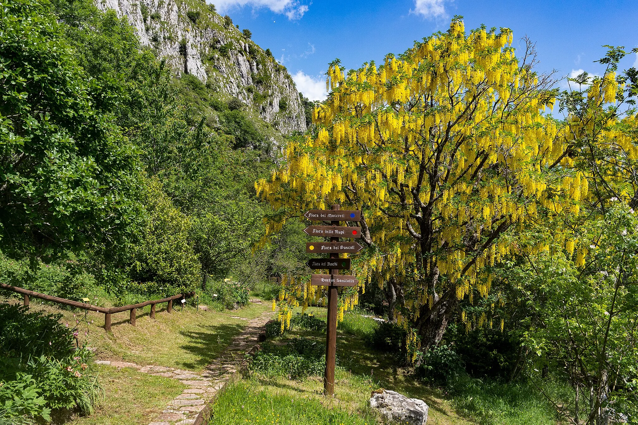 Photo showing: viale centrale del Giardino Botanico Maria Ansaldi Pania di Corfino