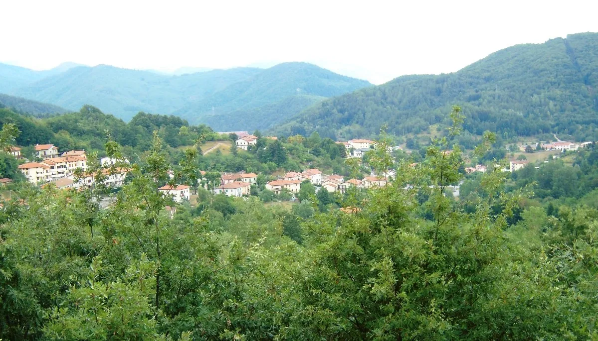 Photo showing: Panorama dell'abitato di Bardalone