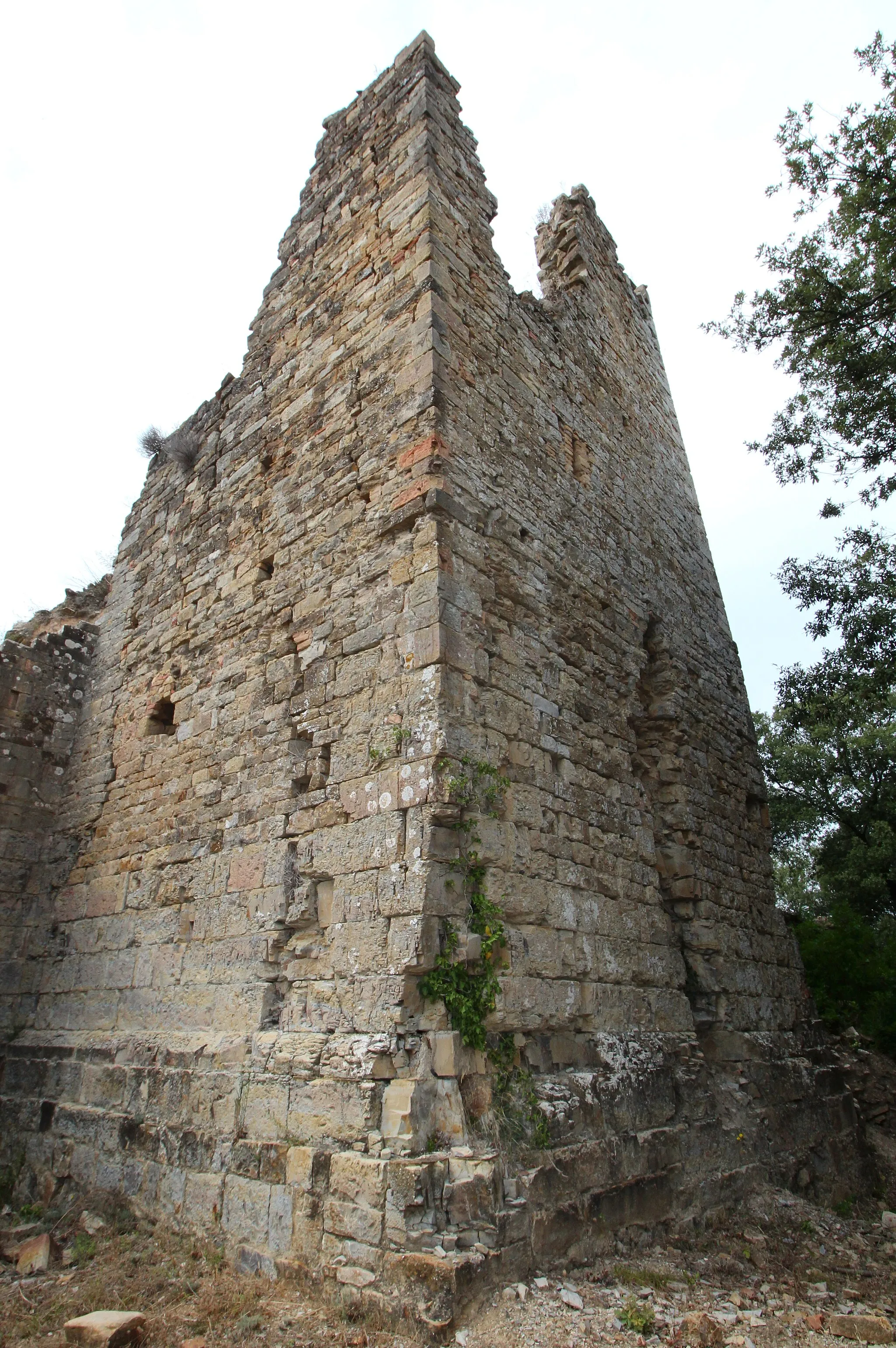 Photo showing: transept of the church ruin San Pietro in Palazzuolo, Poggia a Badia, Monteverdi Marittimo, Province of Pisa, Tuscany, Italy