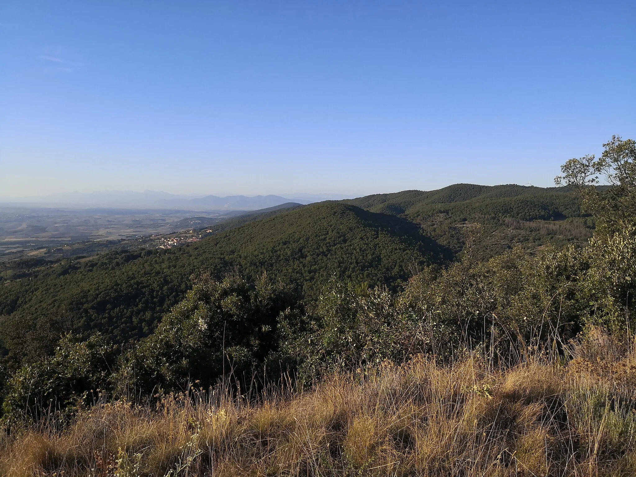 Photo showing: Vista verso nord dalla vetta del Poggio di Nocola. Fra i vari elementi geografici si possono notare, da sinistra verso destra: -) sullo sfondo, il profilo delle Alpi Apuane e del Monte Pisano; -) più in primo piano, il borgo di Castellina Marittima; -) alcuni rilievi delle Colline Pisane, fra i quali il Monte Maggiore, il Poggio di Castiglione, il Poggio dei Fontini e il Poggio Pianacce.