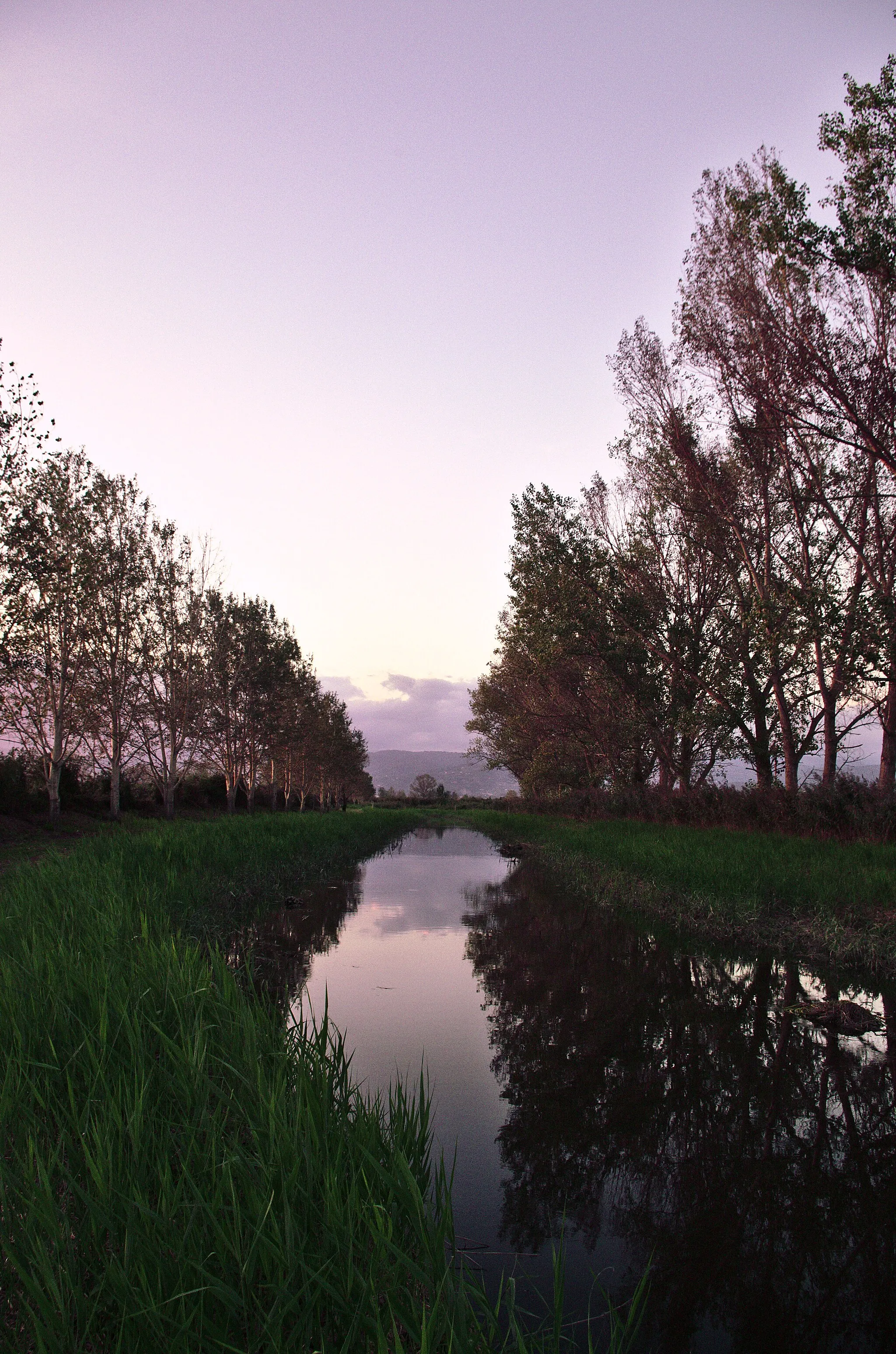Photo showing: View from Fucecchio swamp (Larciano, PT) at sunset