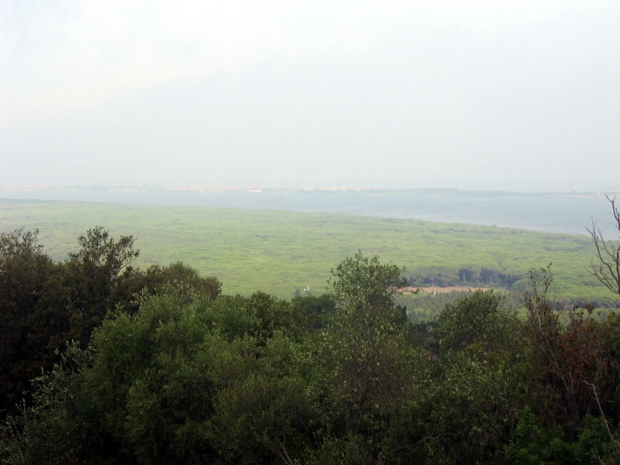 Photo showing: Tombolo della Feniglia, Orbetello, Toscana, Italy