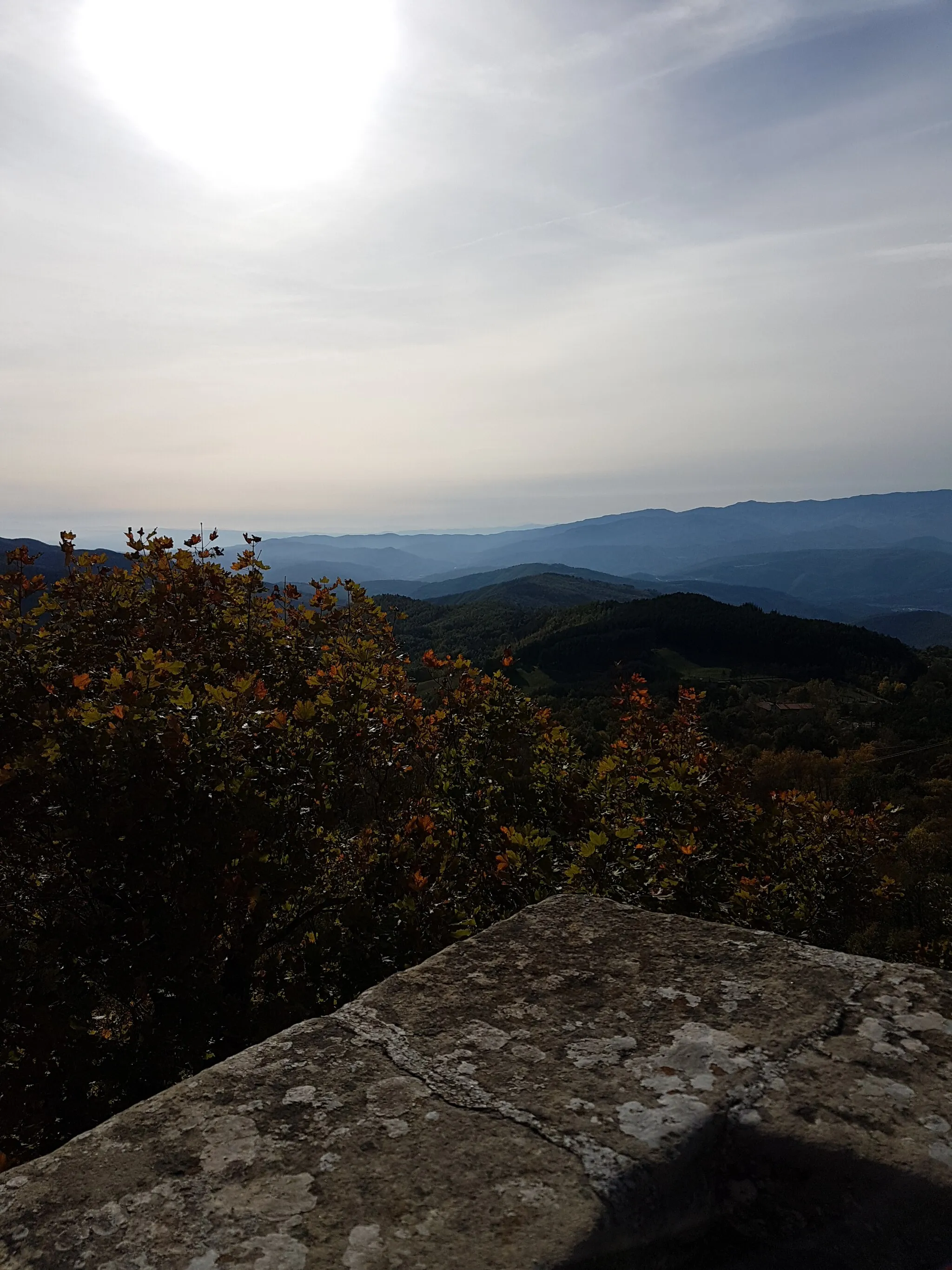 Photo showing: Santuario della Verna, vista dal "Quadrante", circa verso sud