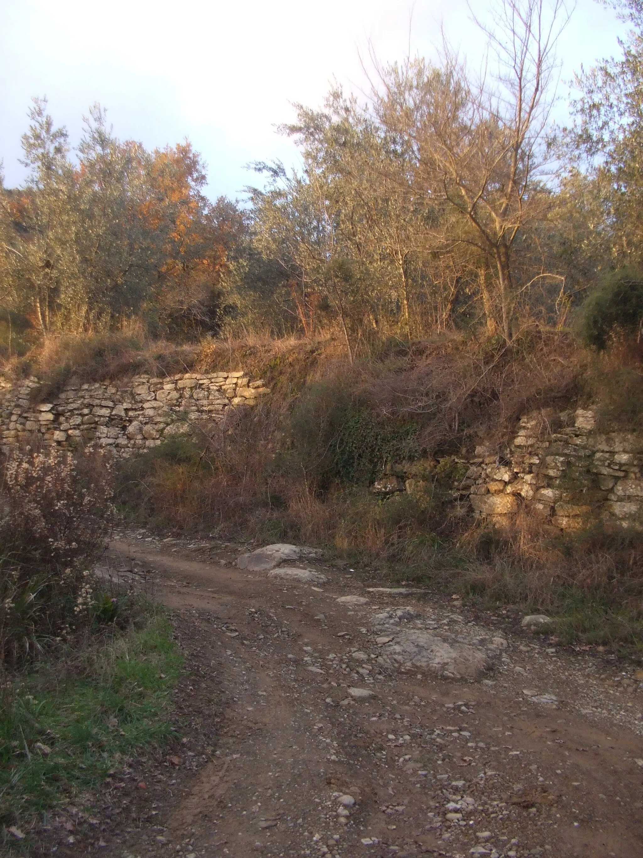 Photo showing: Bivio per il podere Sartiano