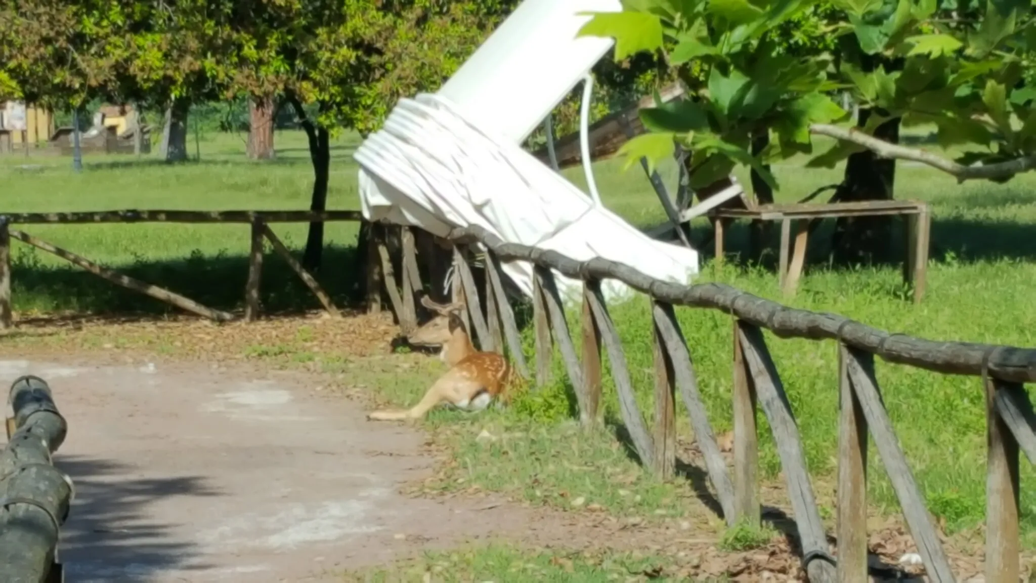 Photo showing: Parco naturale di Migliarino, San Rossore, Massaciuccoli (Q427946)