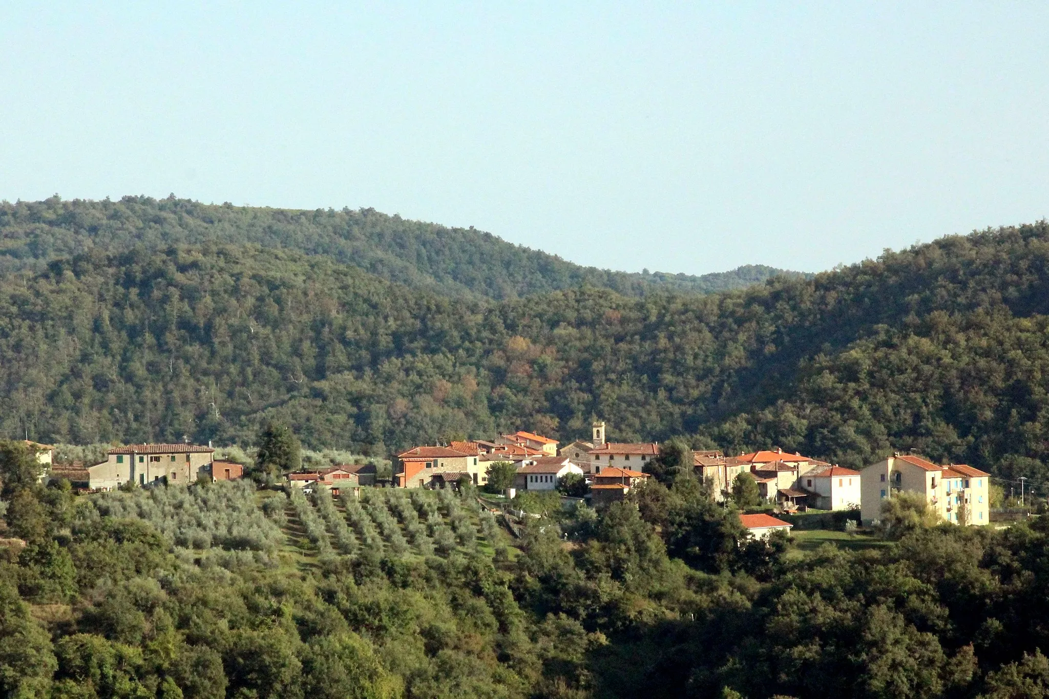 Photo showing: Panorama of Nusenna, hamlet of Gaiole in Chianti, Province of Siena, Tuscany, Italy