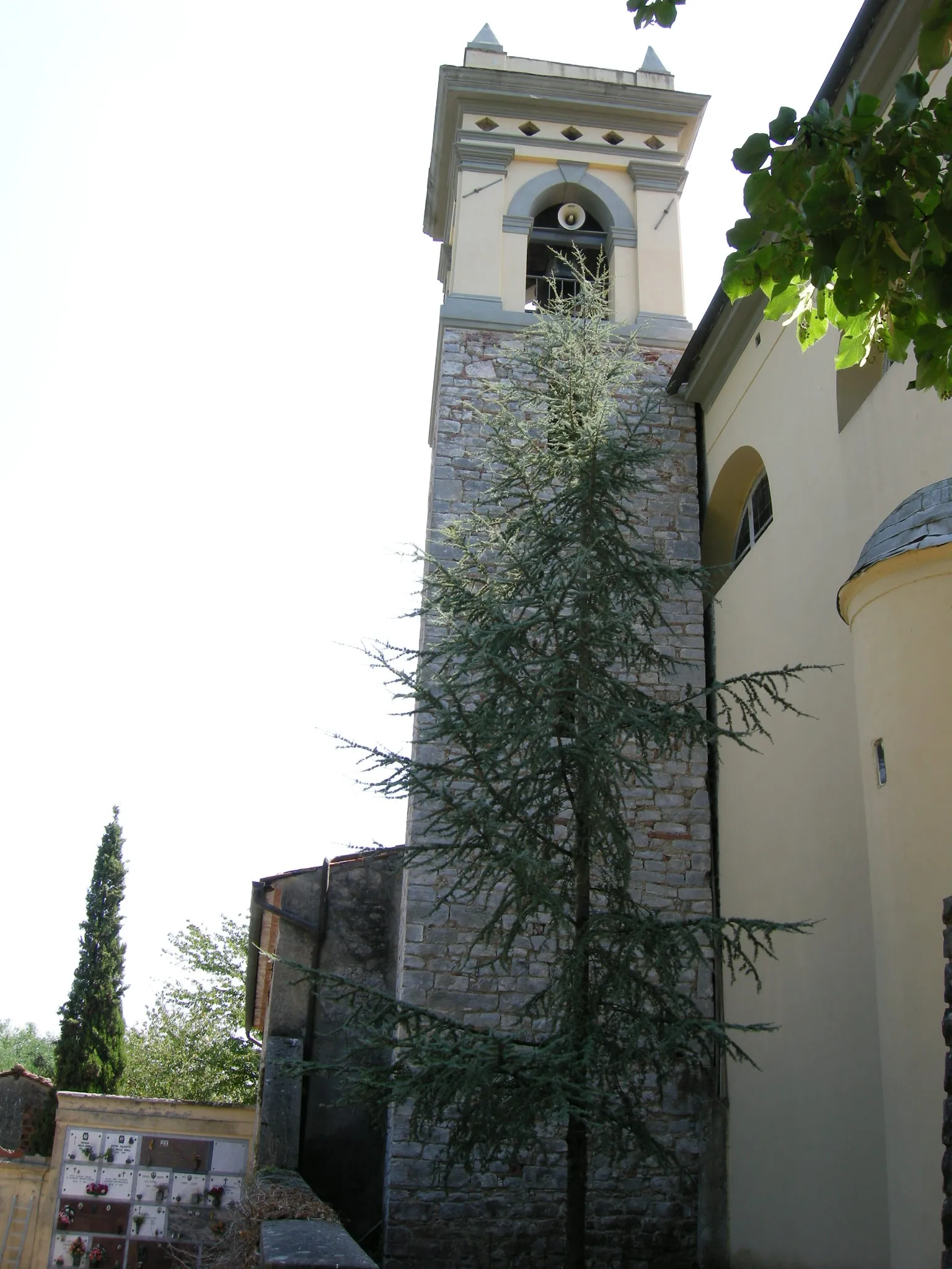 Photo showing: Oratorio di Farneta, campanile
