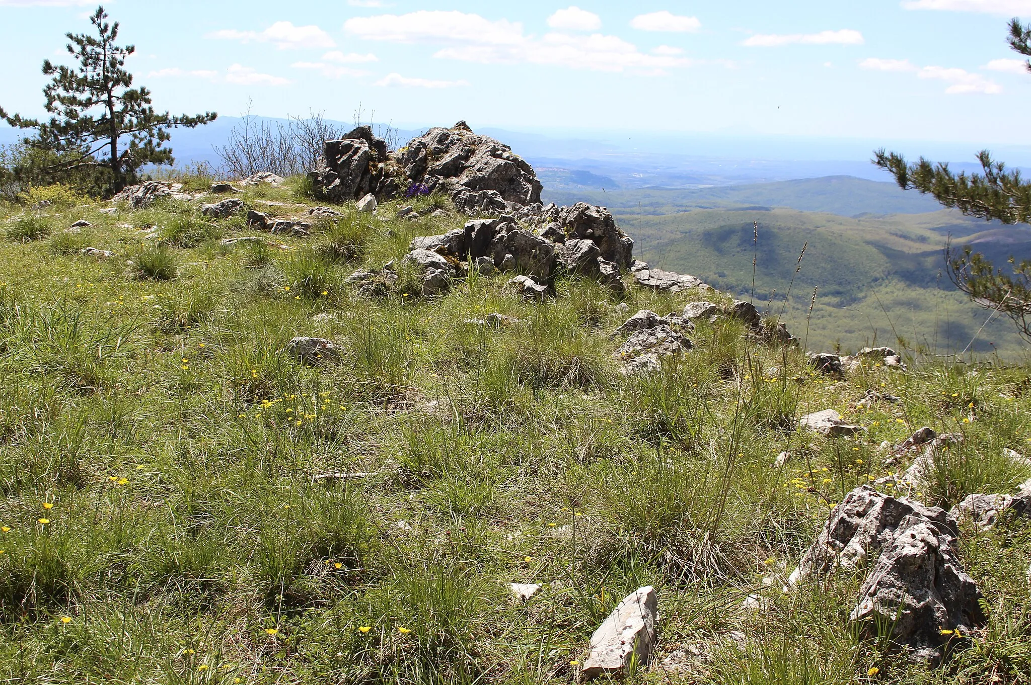 Photo showing: Mountain Cornate di Gerfalco, Gerfalco, Montieri, Province of Grosseto, Tuscany, Italy