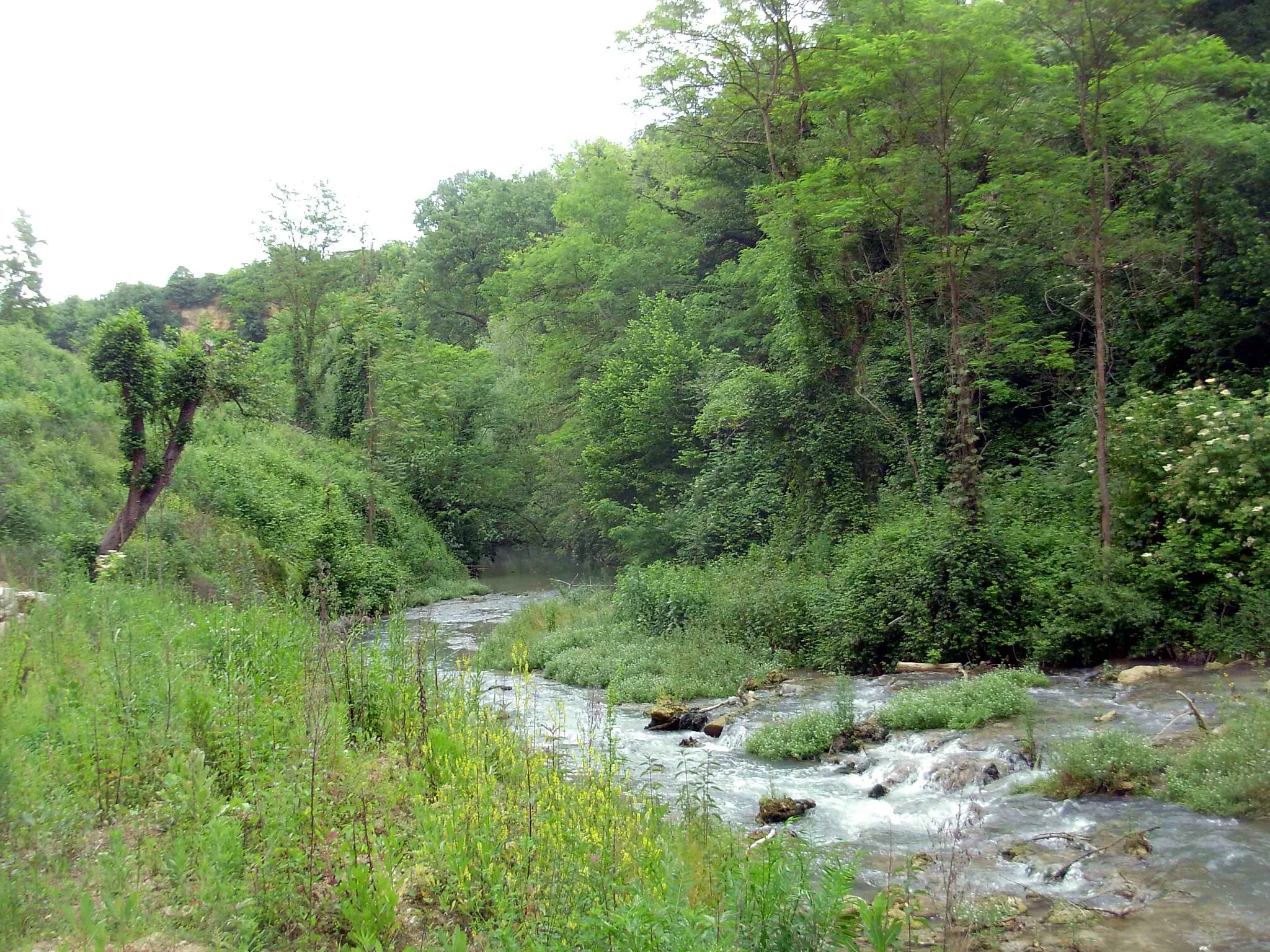 Photo showing: Elsa river