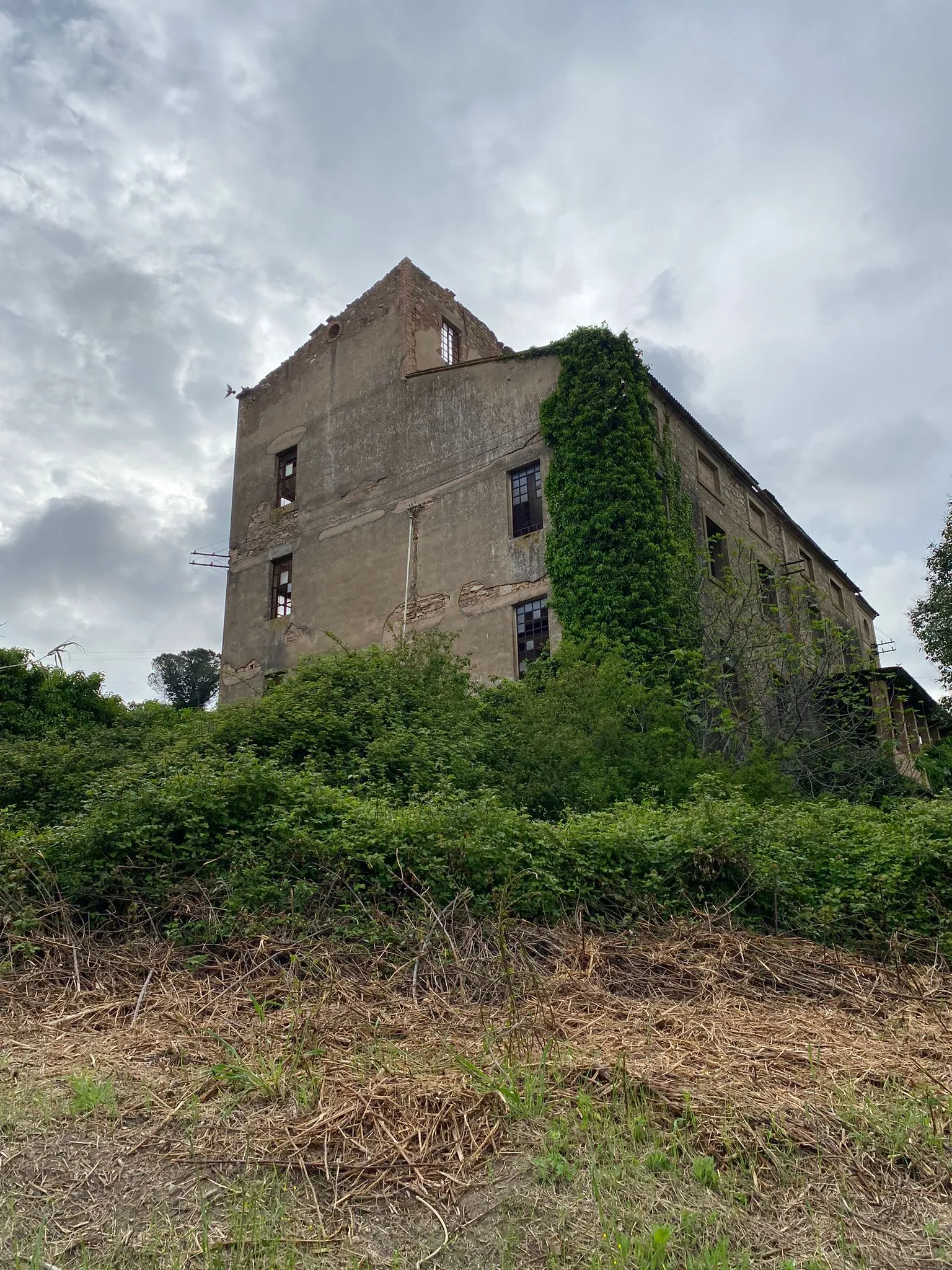 Photo showing: Mulino Badii, Ghirlanda, Massa Marittima