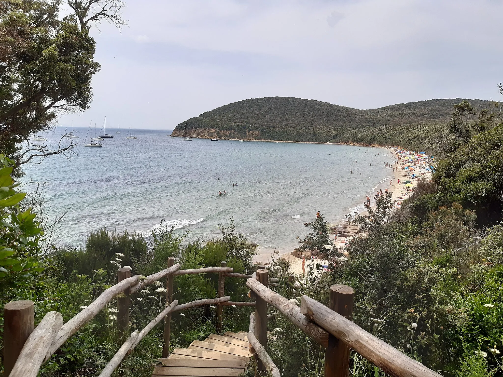 Photo showing: Spiaggia di cala violina - riserva naturale di Scarlino (Grosseto)