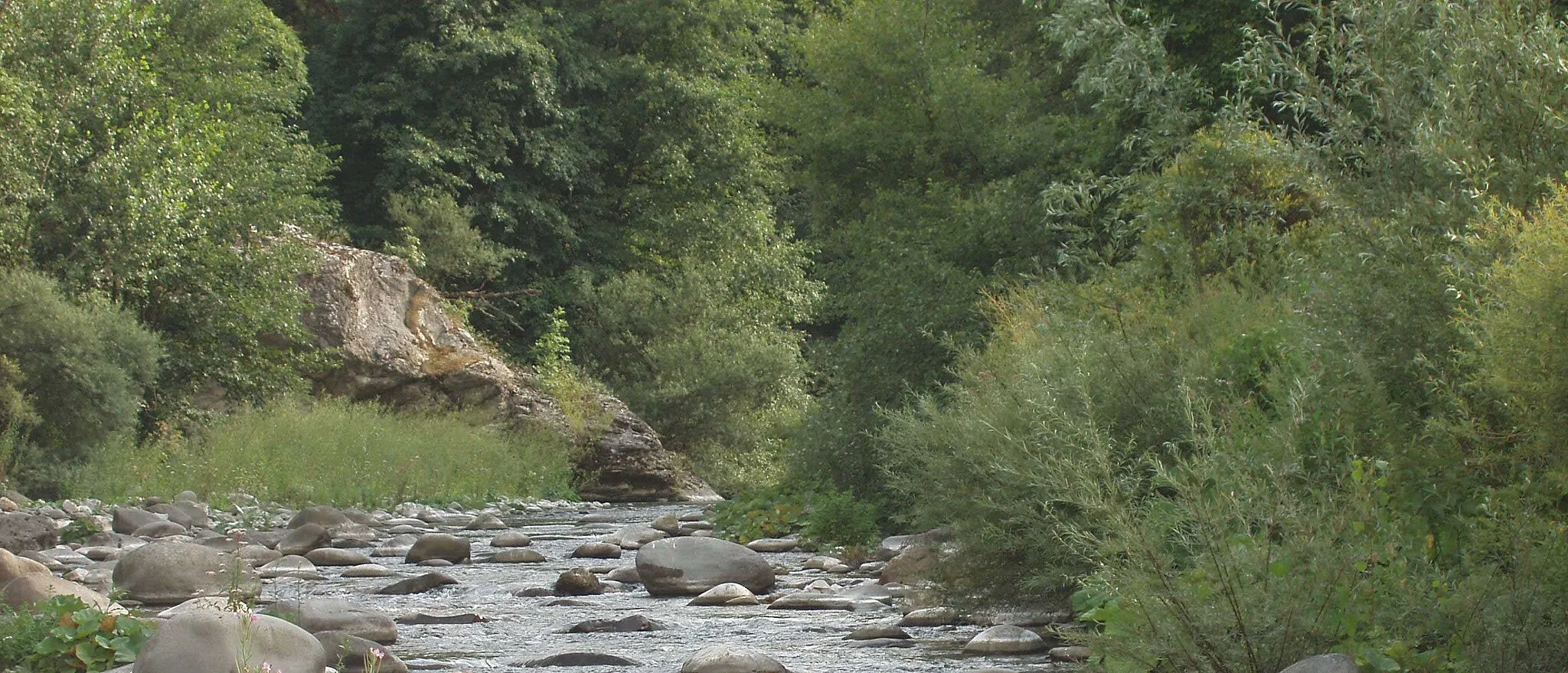 Photo showing: Autore Utente:Kronos, fonte fotocamera, descrizione: Alto corso del fiume Enza. Note: scatto risalente all'estate 2007.