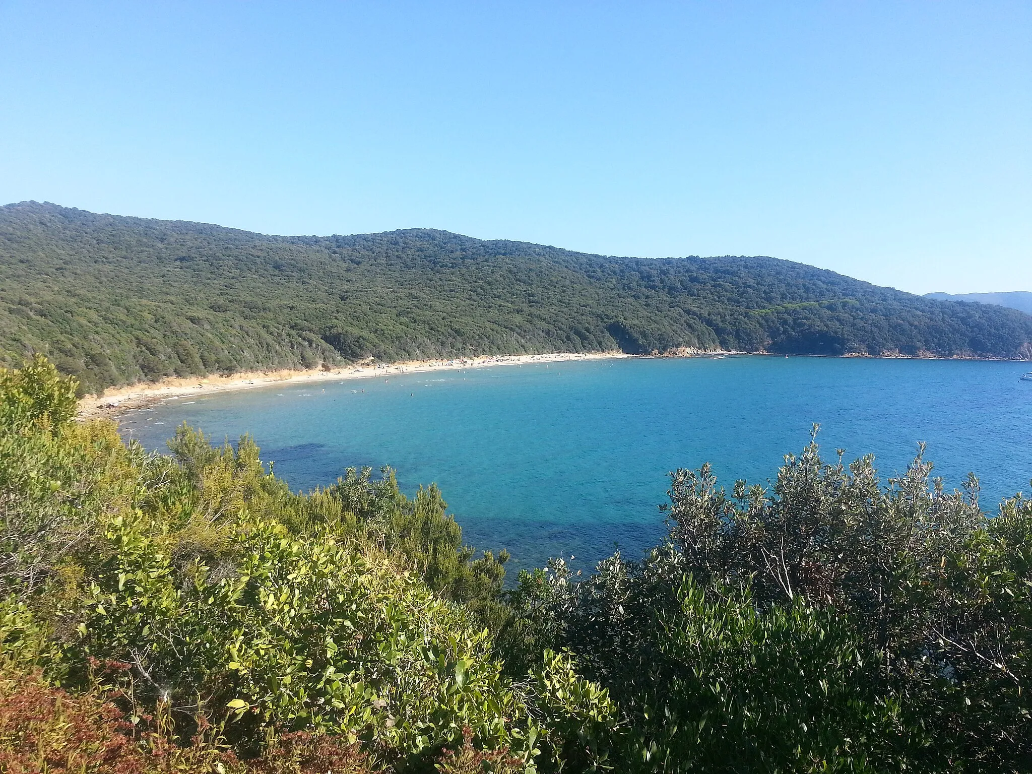 Photo showing: Cala Violina vista da Nord