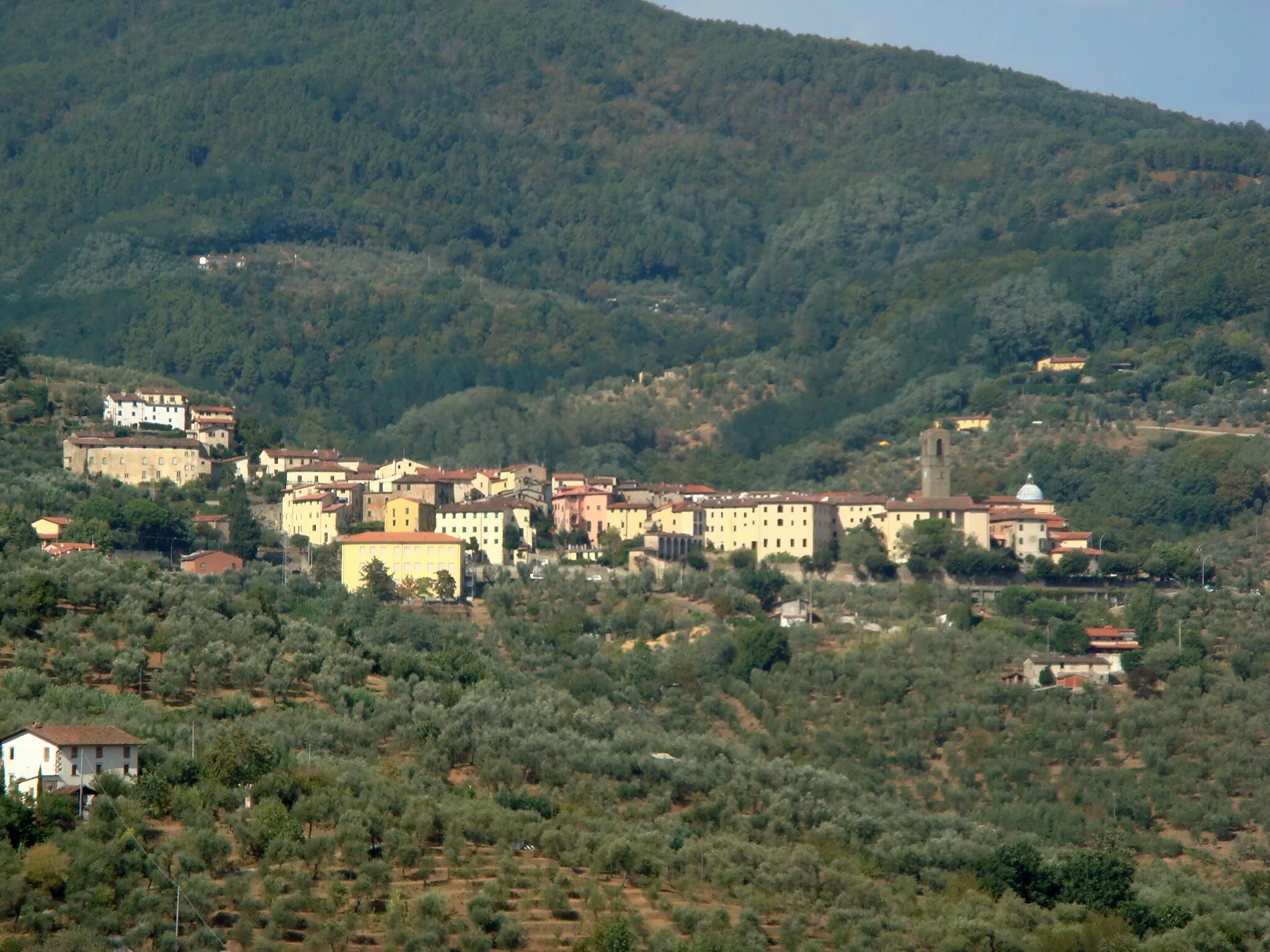 Photo showing: Panorama of Massa taken from Colle di Buggiano