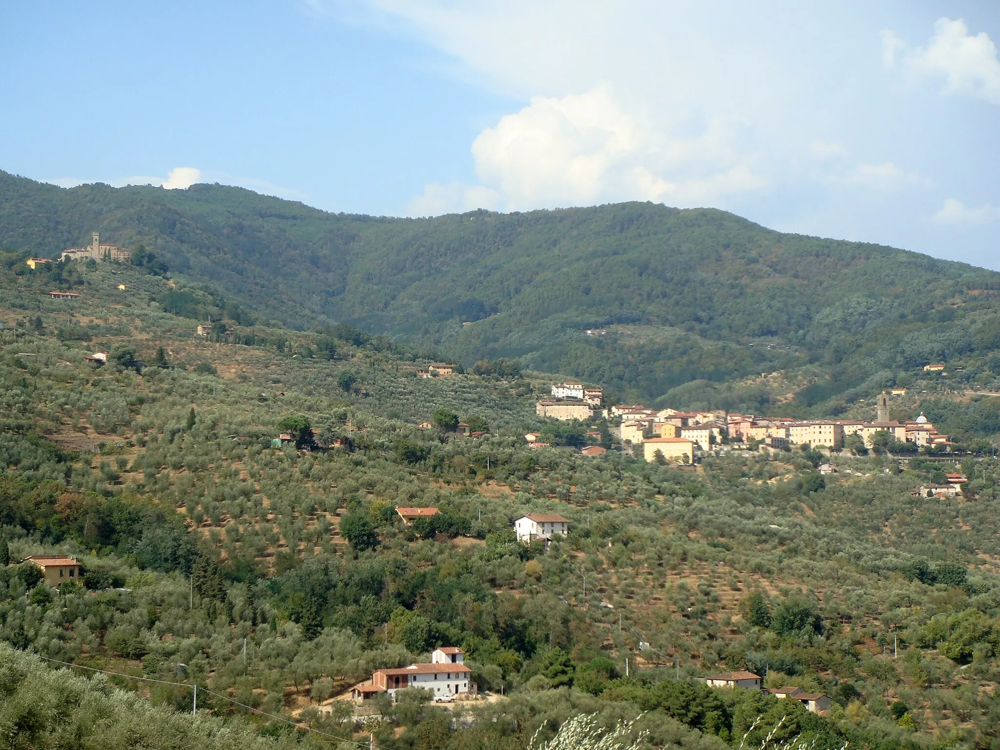 Photo showing: Panorama of Massa and Cozzile taken from Colle di Buggiano