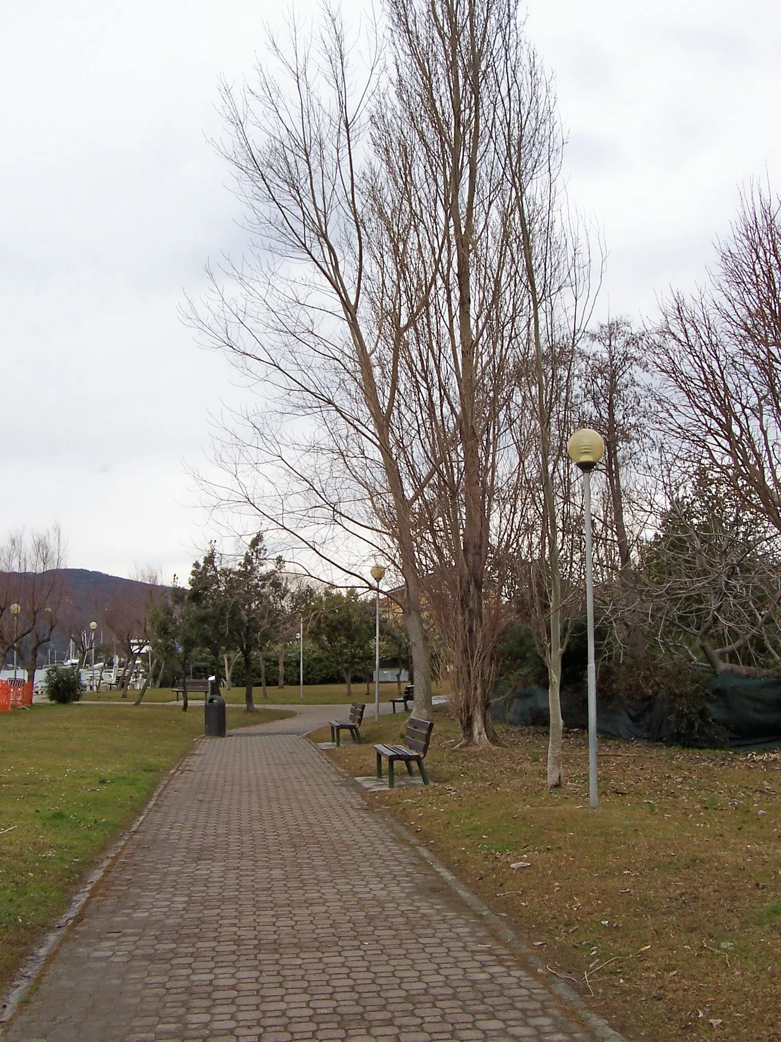 Photo showing: Garden - Fiumaretta - Ameglia (SP) - Italy